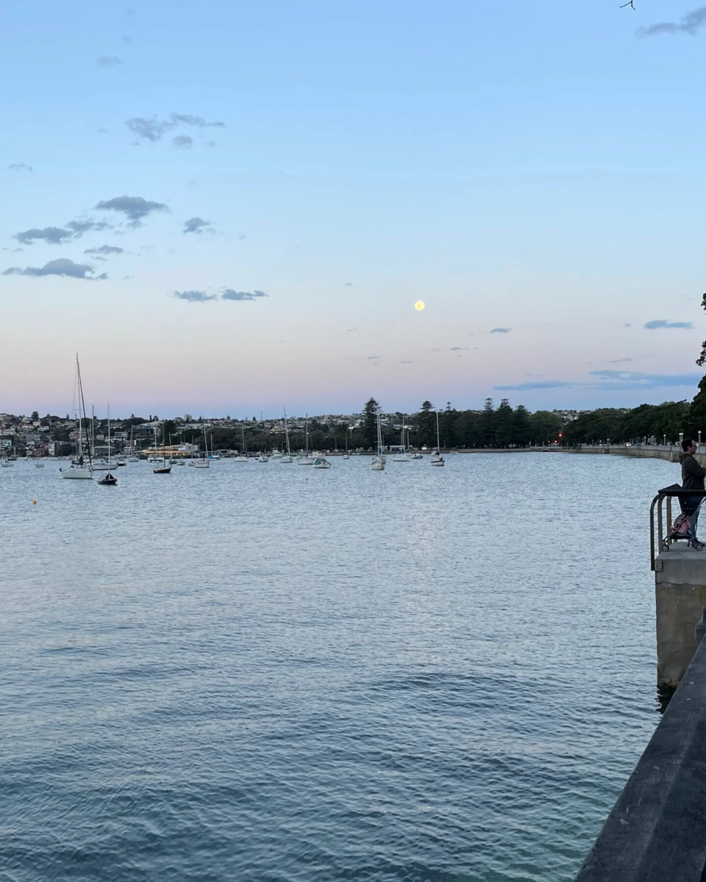 Moon full.
Heart full.
Grateful 🦋