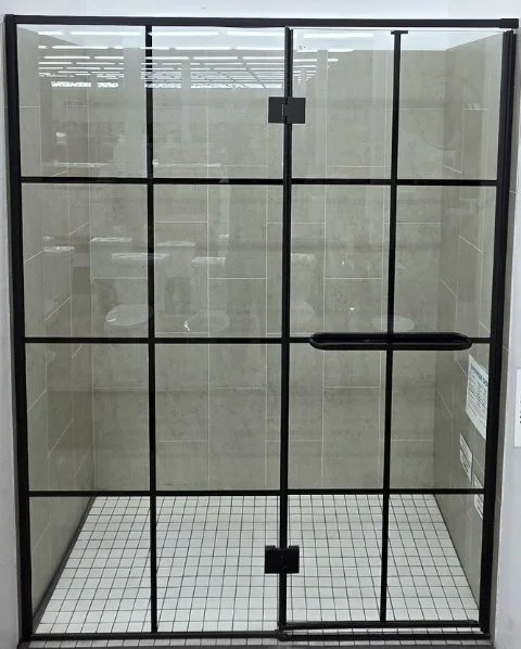 Swinging Shower Door