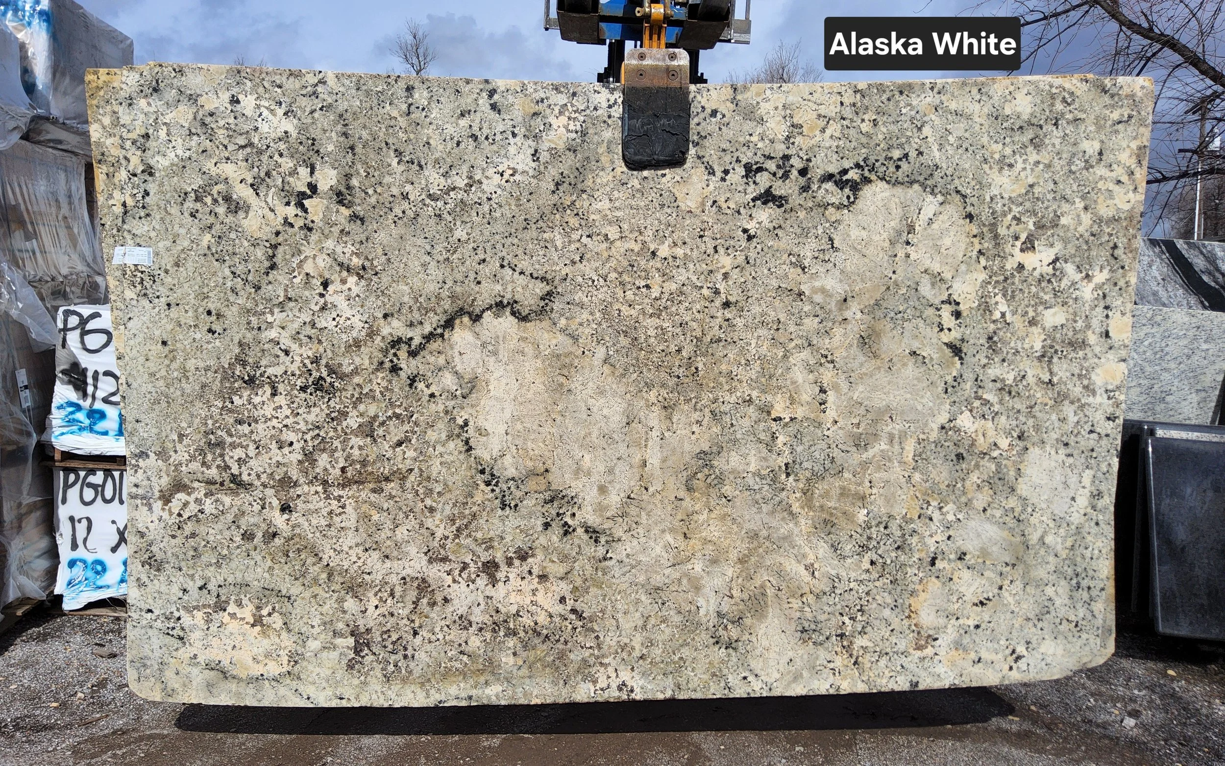Alaska White