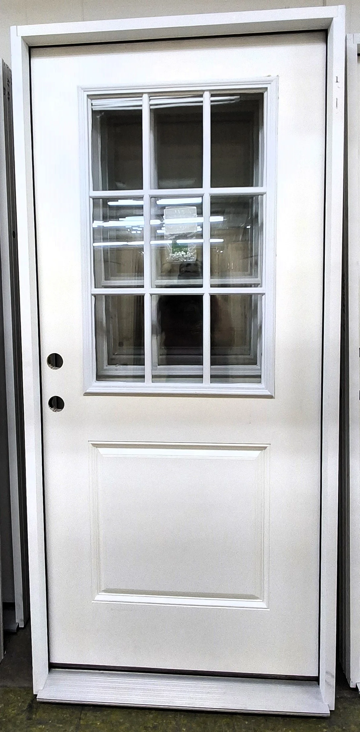 Exterior Door B-Grade 9-Lite