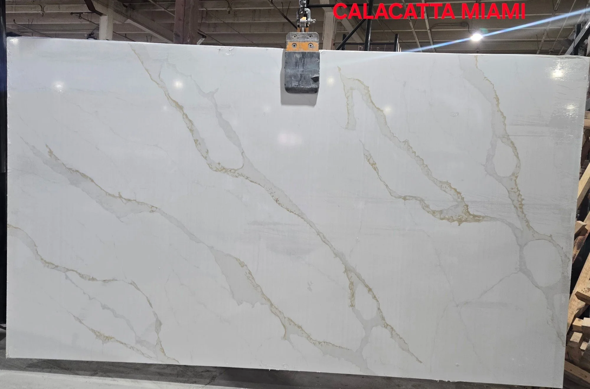 Calacatta Miami
