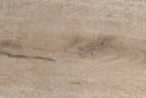 EW-2000 Vinyl Flooring 