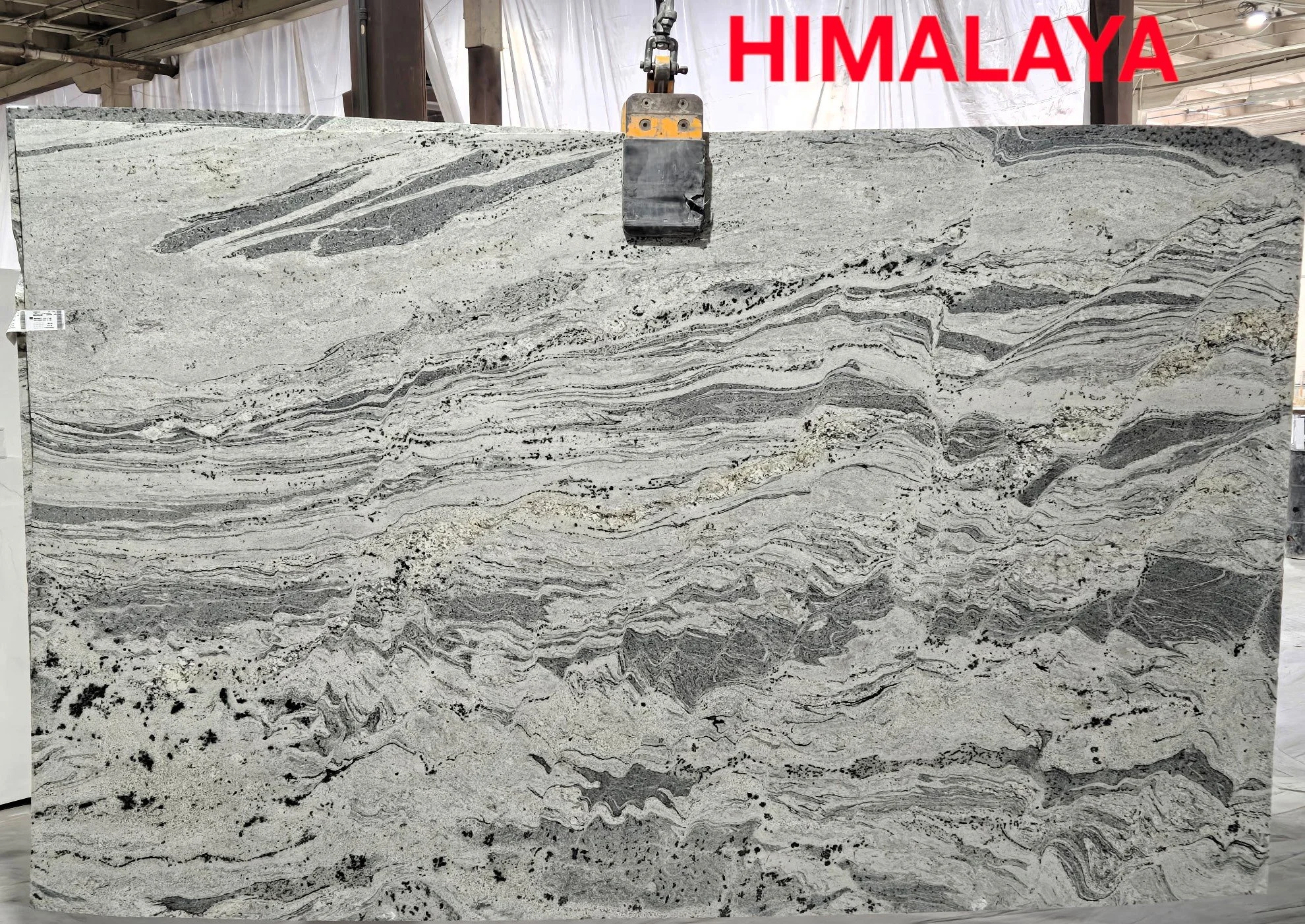 White Himalaya