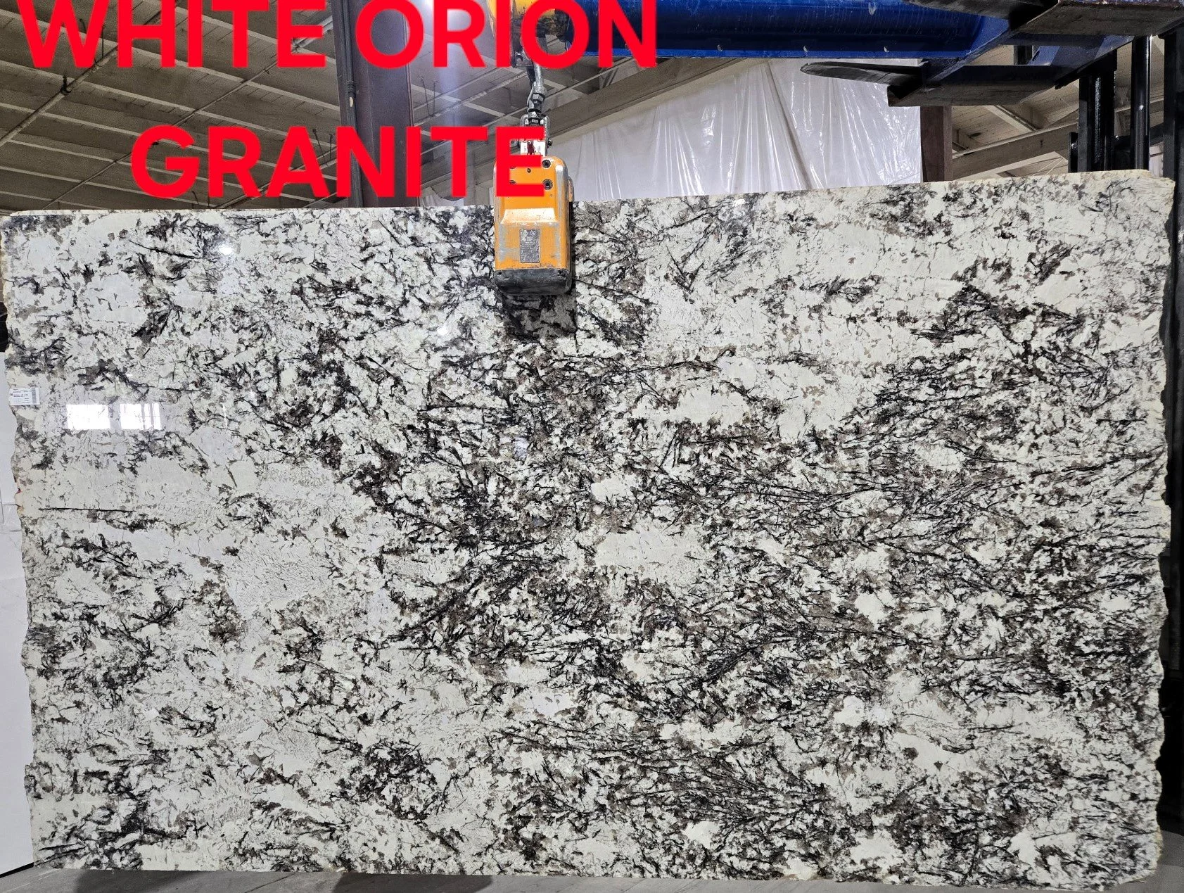 White Orion