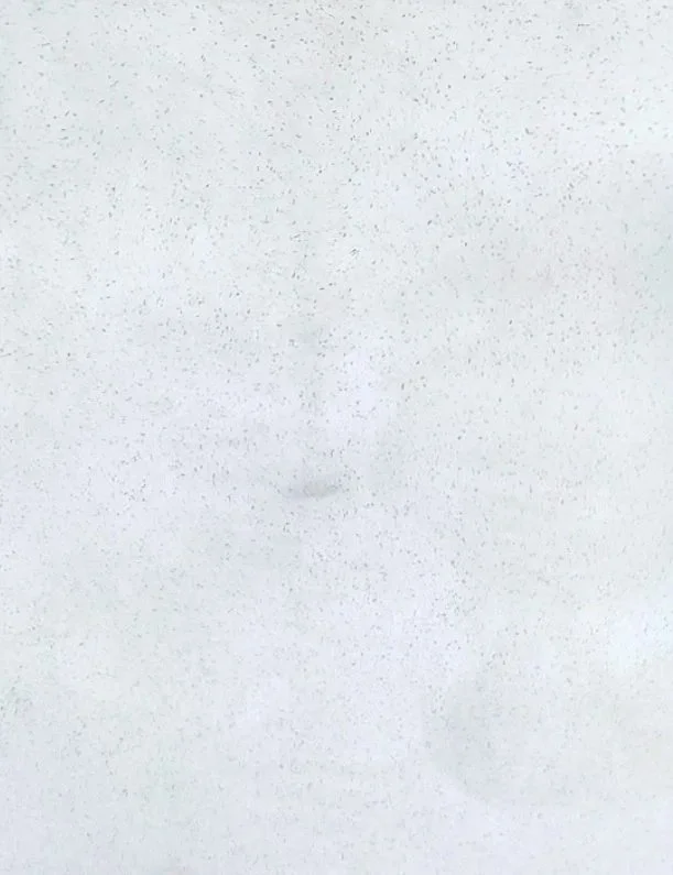 Iceberg White
