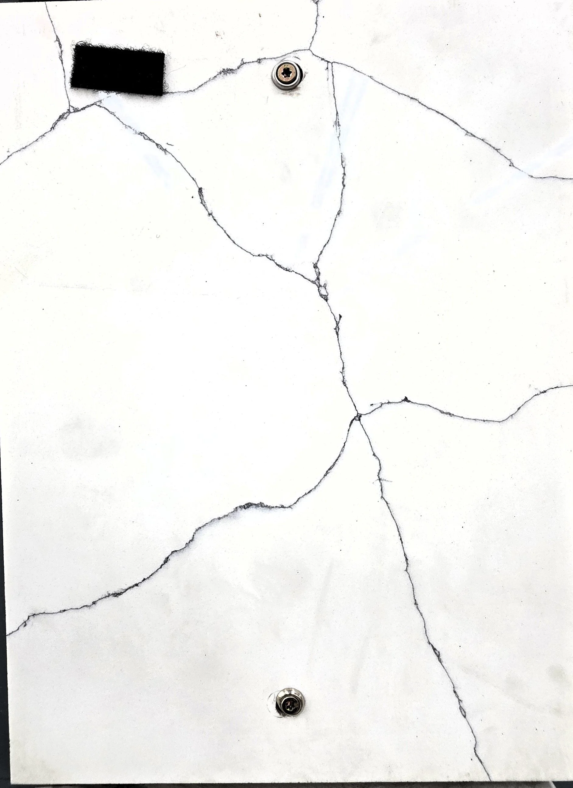 Calacatta Miagio