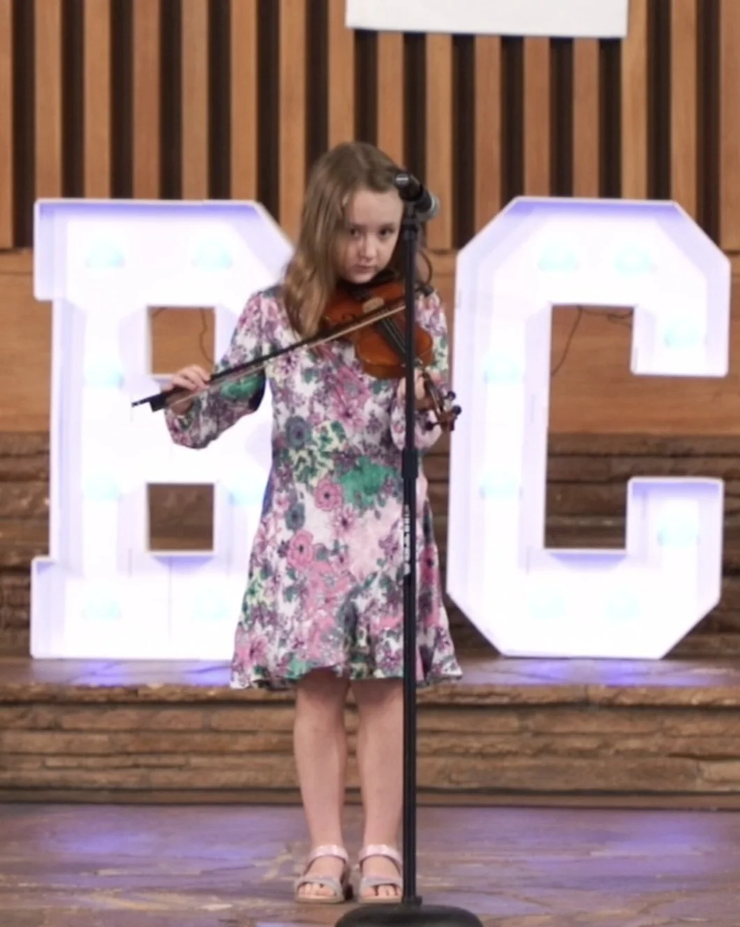 Violin Lessons Houston