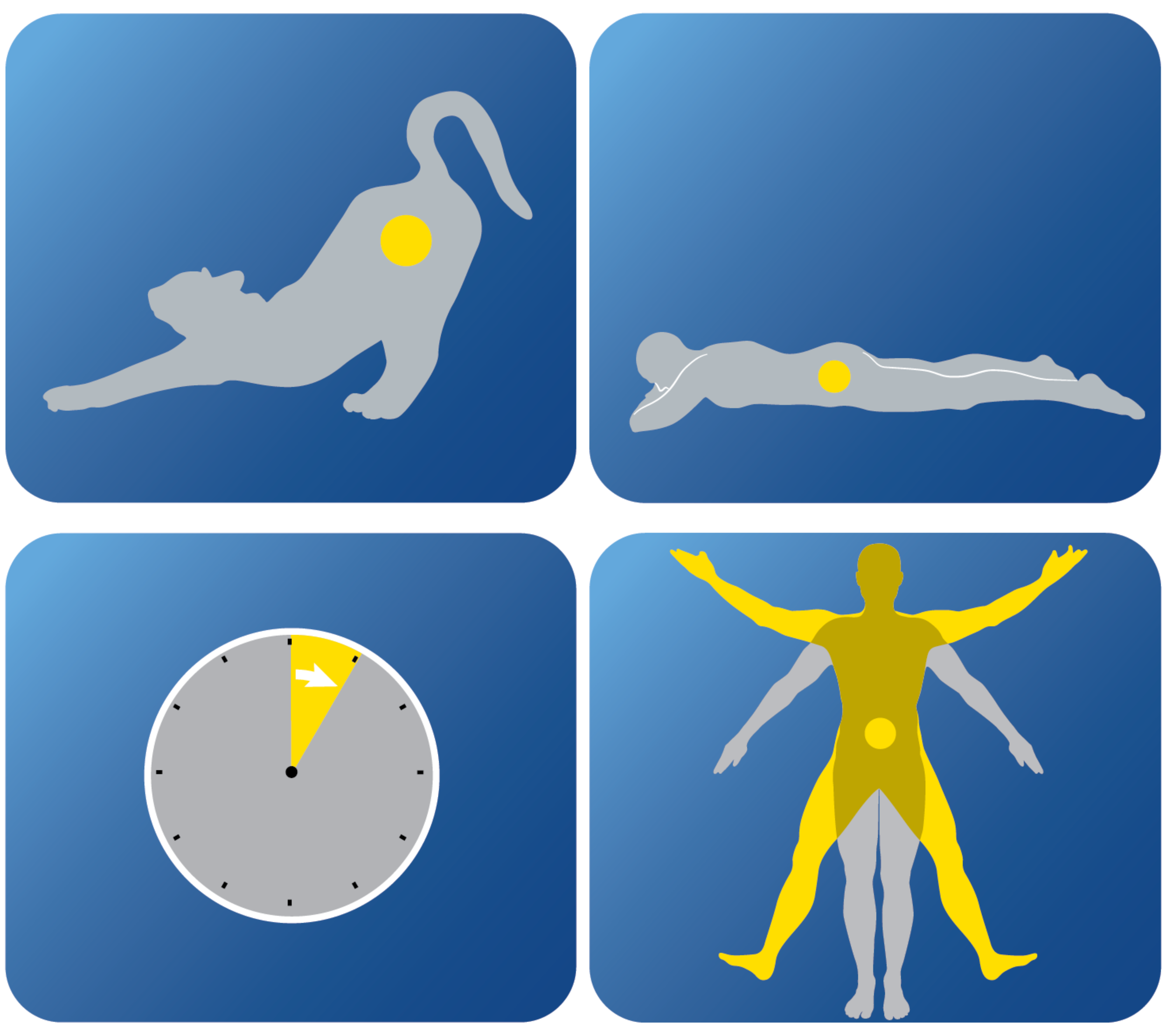 Cat Movements — Ryan Moschell - Your Muscle Whisperer
