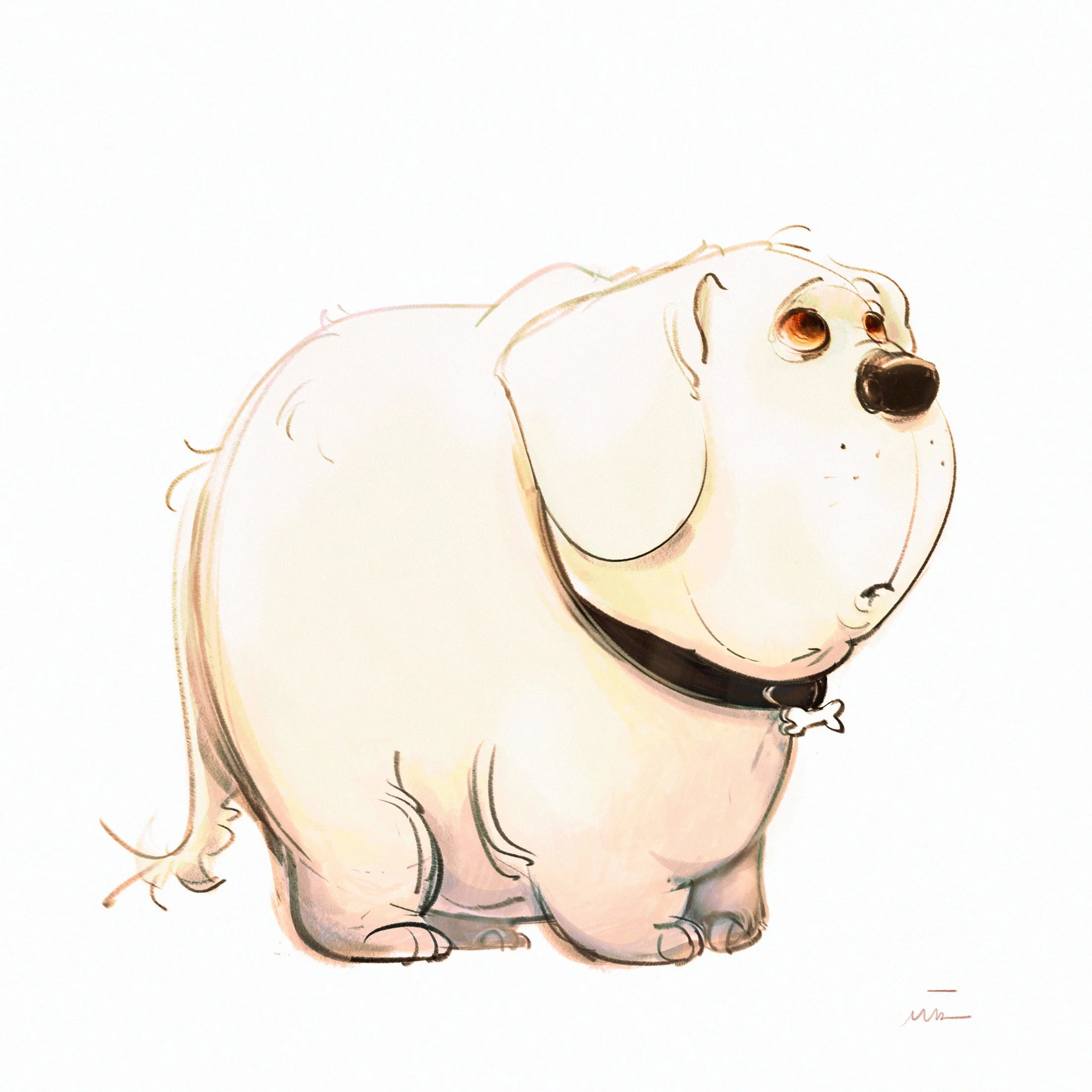 perro_si.jpg