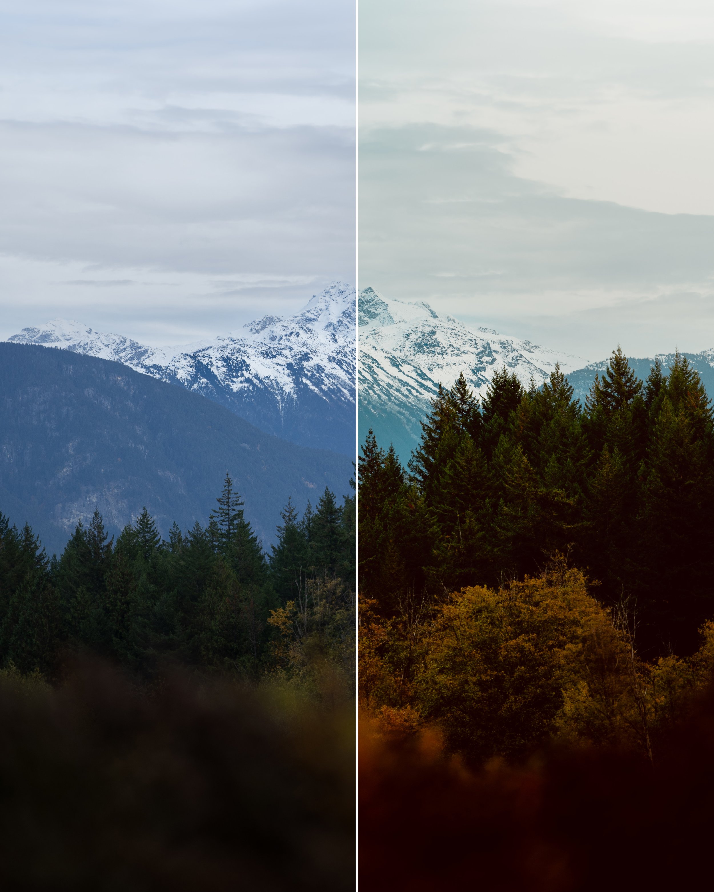 Lightroom Preset-Aspen Peak-compare .jpg