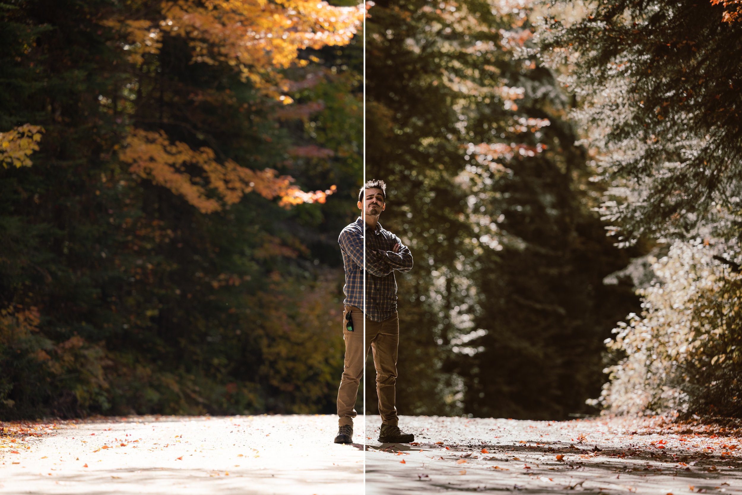 Lightroom Preset-Dark Earth-compare .jpg