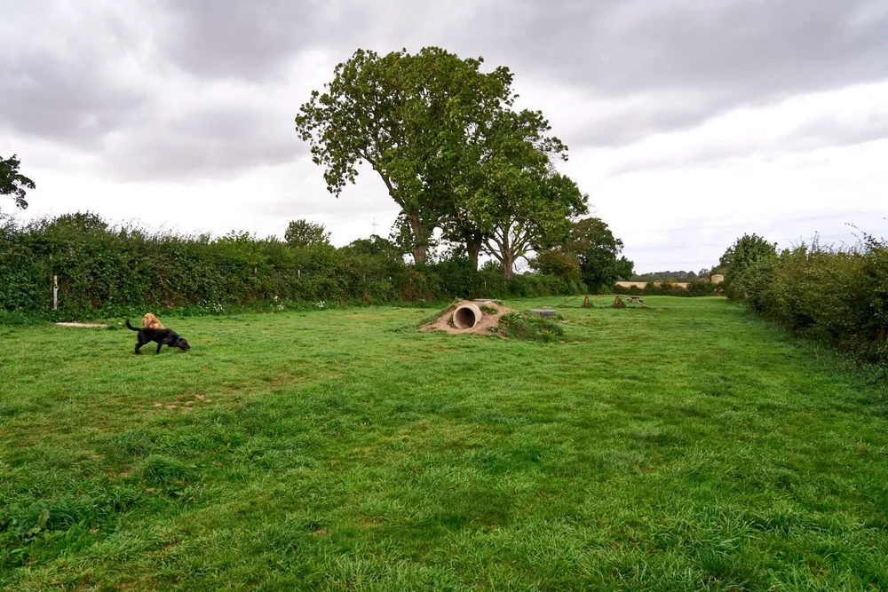 Dog Walking Fields — Molescroft Farm Estate