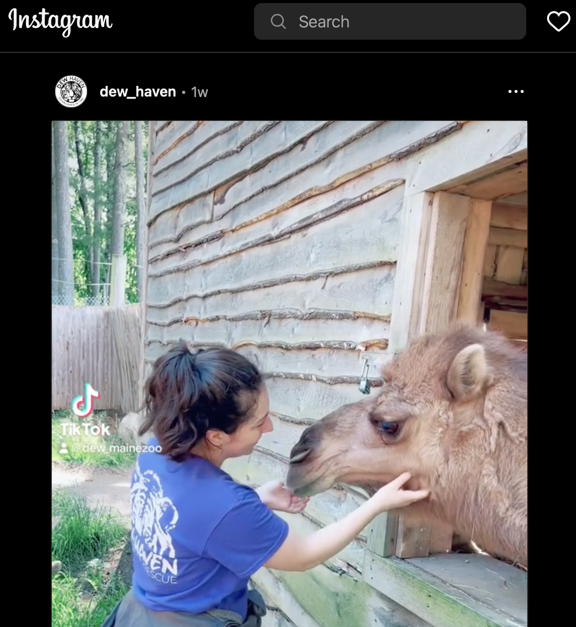 Screen Shot 2024-01-11 at 1.20.00 PM.png