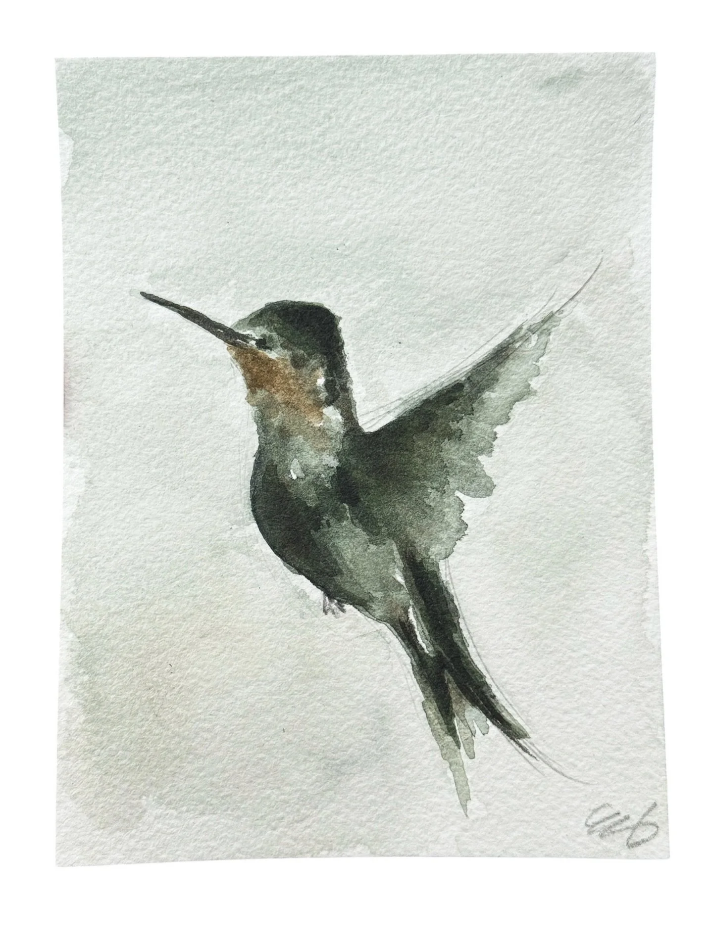 I have a confession&hellip;I&rsquo;m obsessed with hummingbirds.😬 So much that I have a notification in my phone of when to put out the feeders out each year. Then I obsess over checking the feeders each day till I see one. And when I finally see on