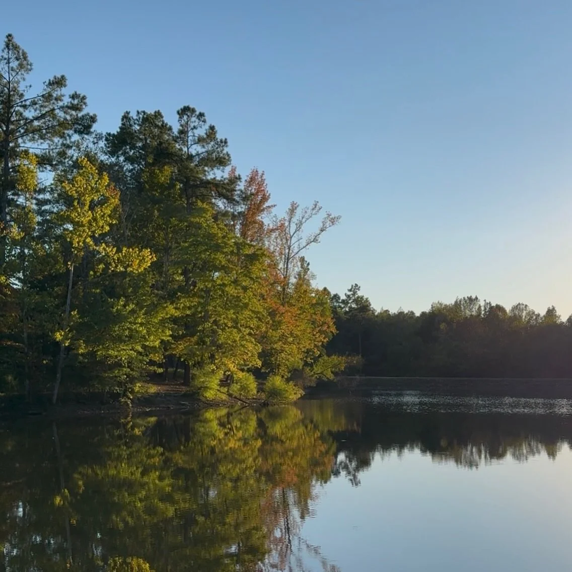 Much needed getaway to my favorite state! Tennessee you were so good to us! Lots of outdoor therapy, antiquing, good food, morning coffee with the most perfect view, a quick visit to broadway and Emma had a special visit with her favorite elementary 
