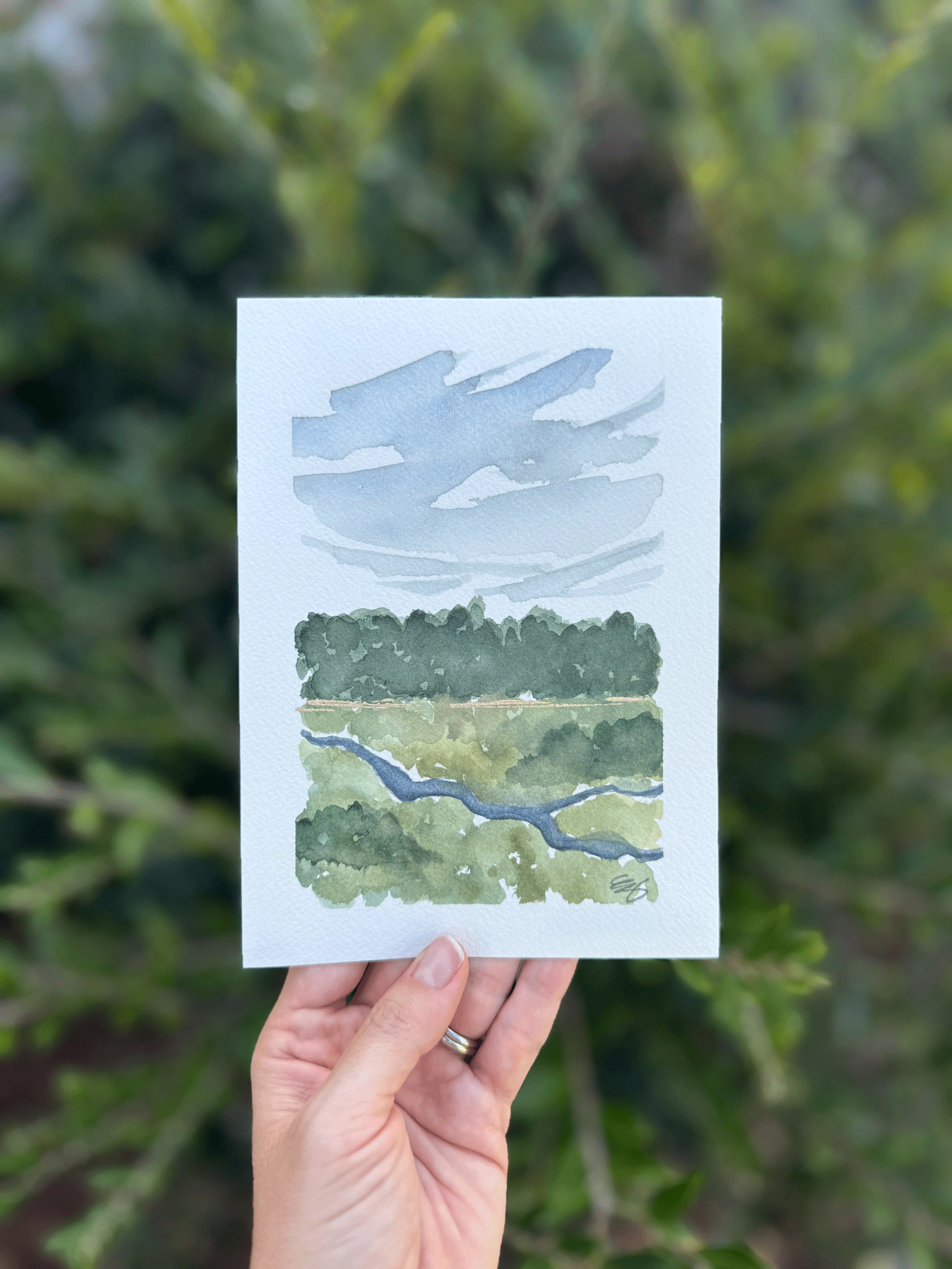 erin_speights_art_theverdantcolleciton_wherethewaterwanders_4x6_outside.gif