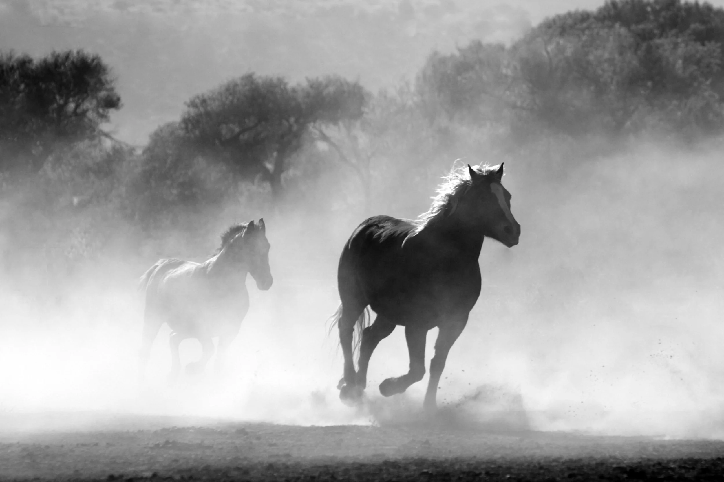 The Four Horsemen of the Apocalypse in Your Relationship