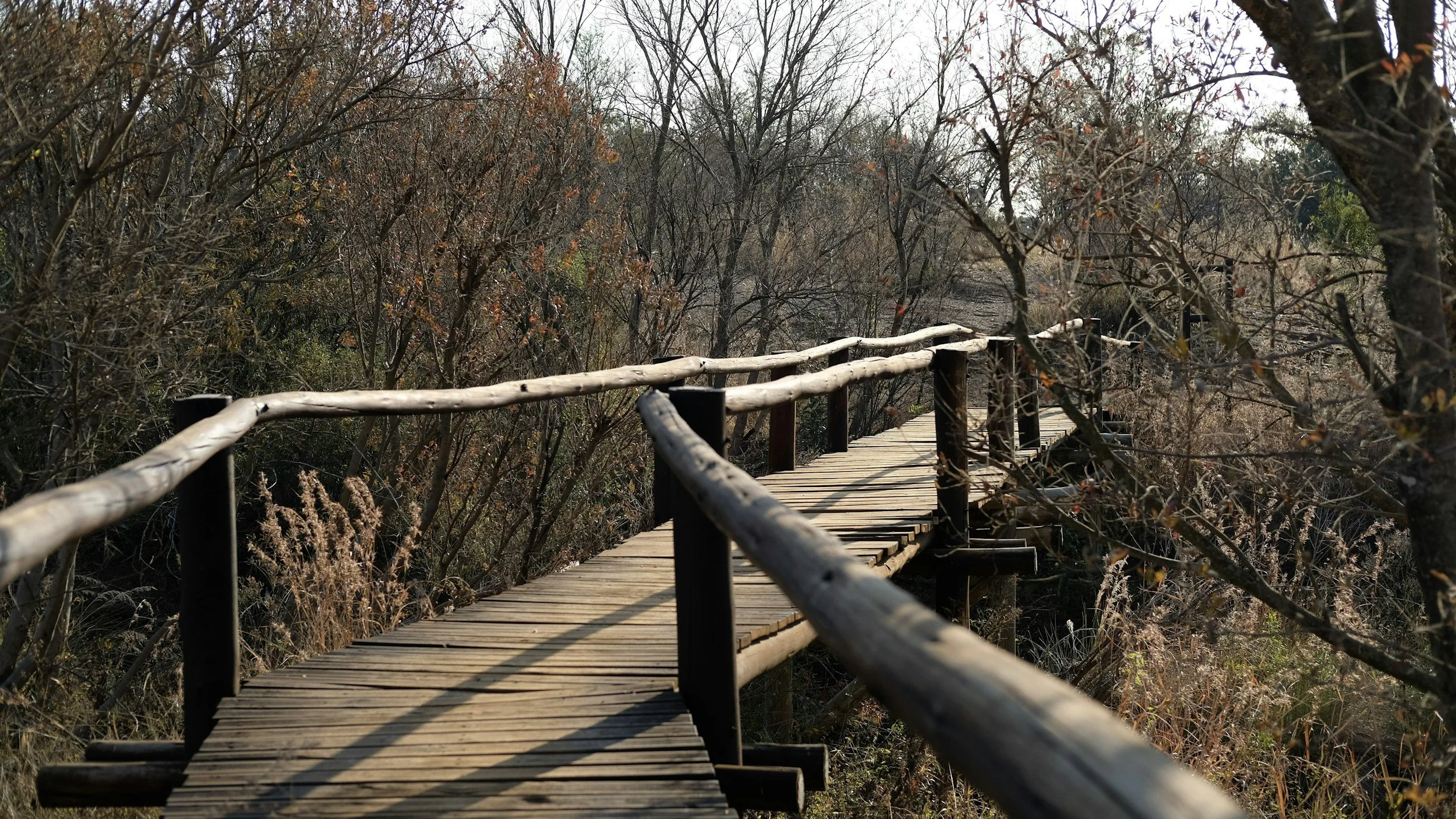 A confession and a reflection for the new year that have nothing to do with organizing, but have everything to do with why I love helping others.