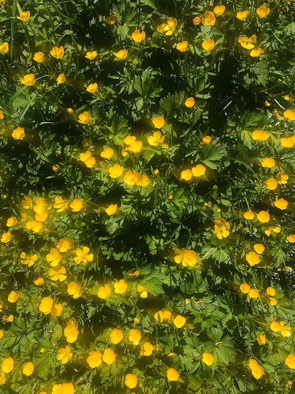 Reading Two: March 7