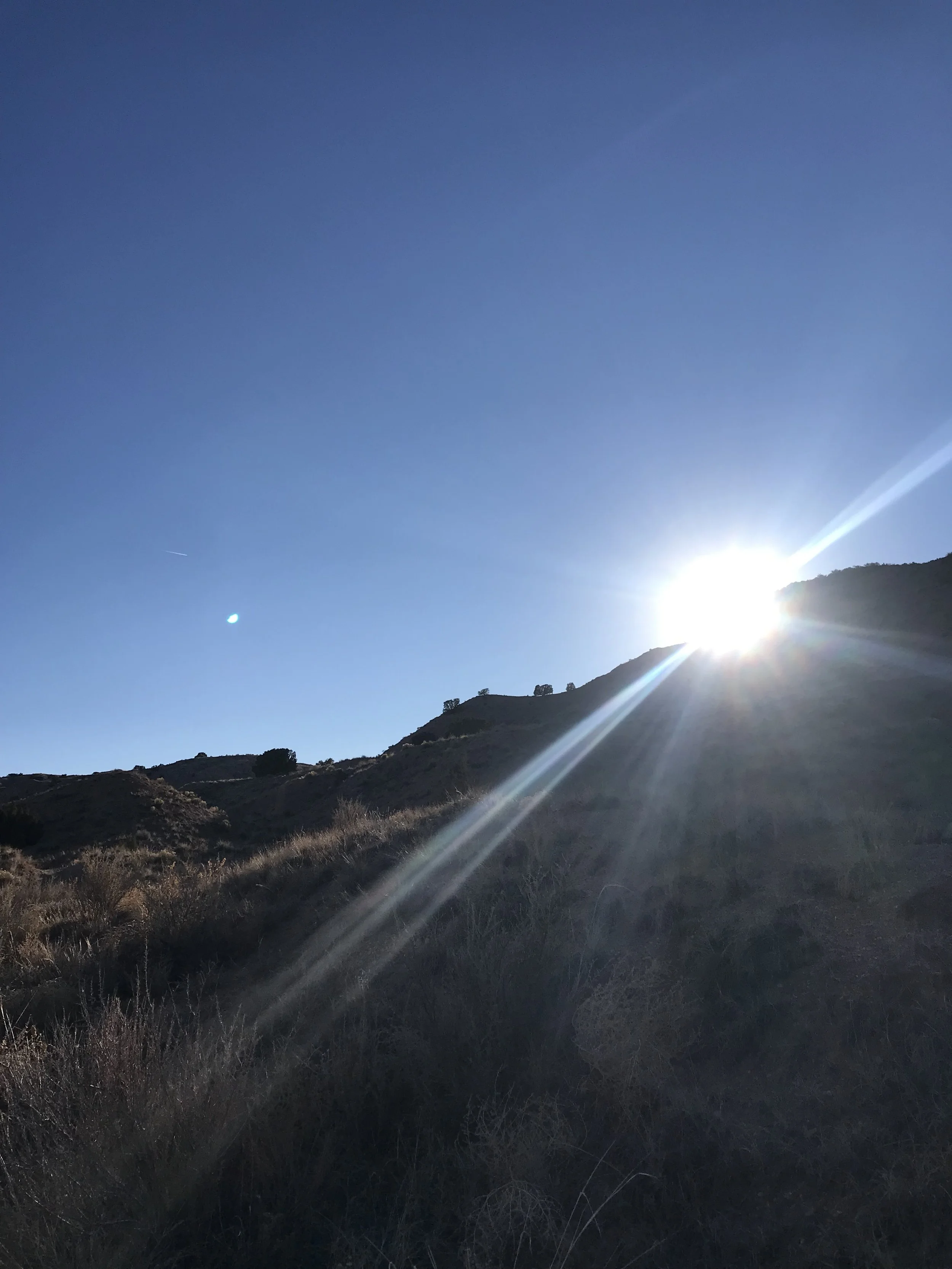 March 28: Panning for Gold