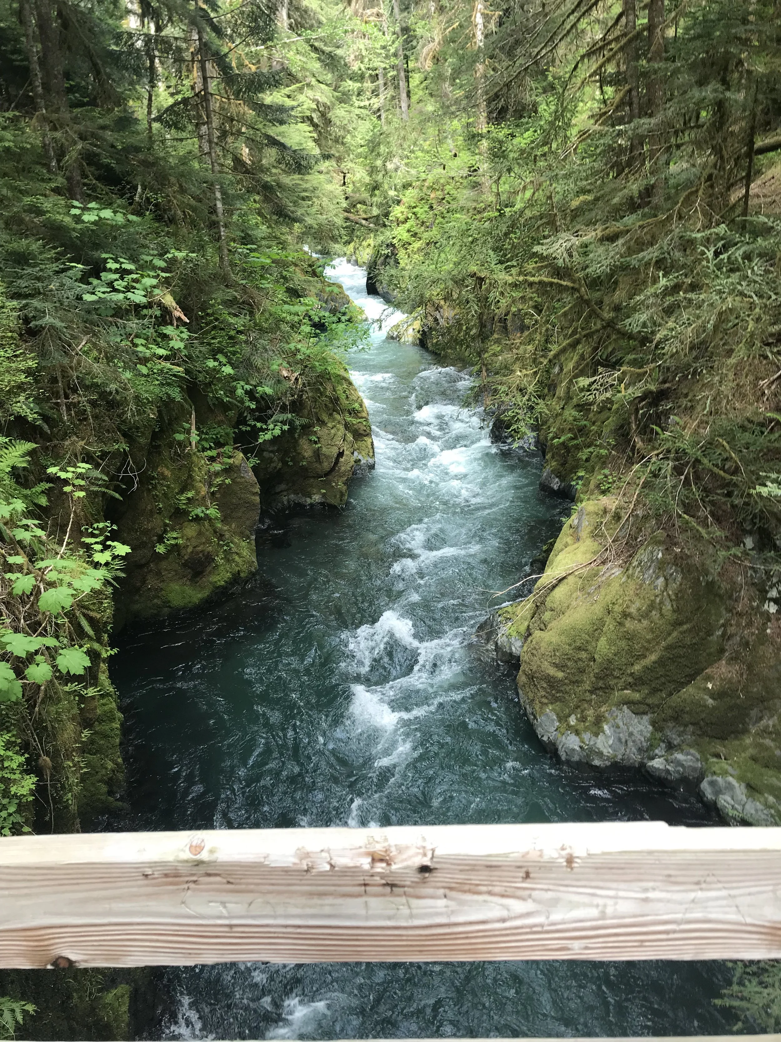 April 4: Sutras 1.2-1.4