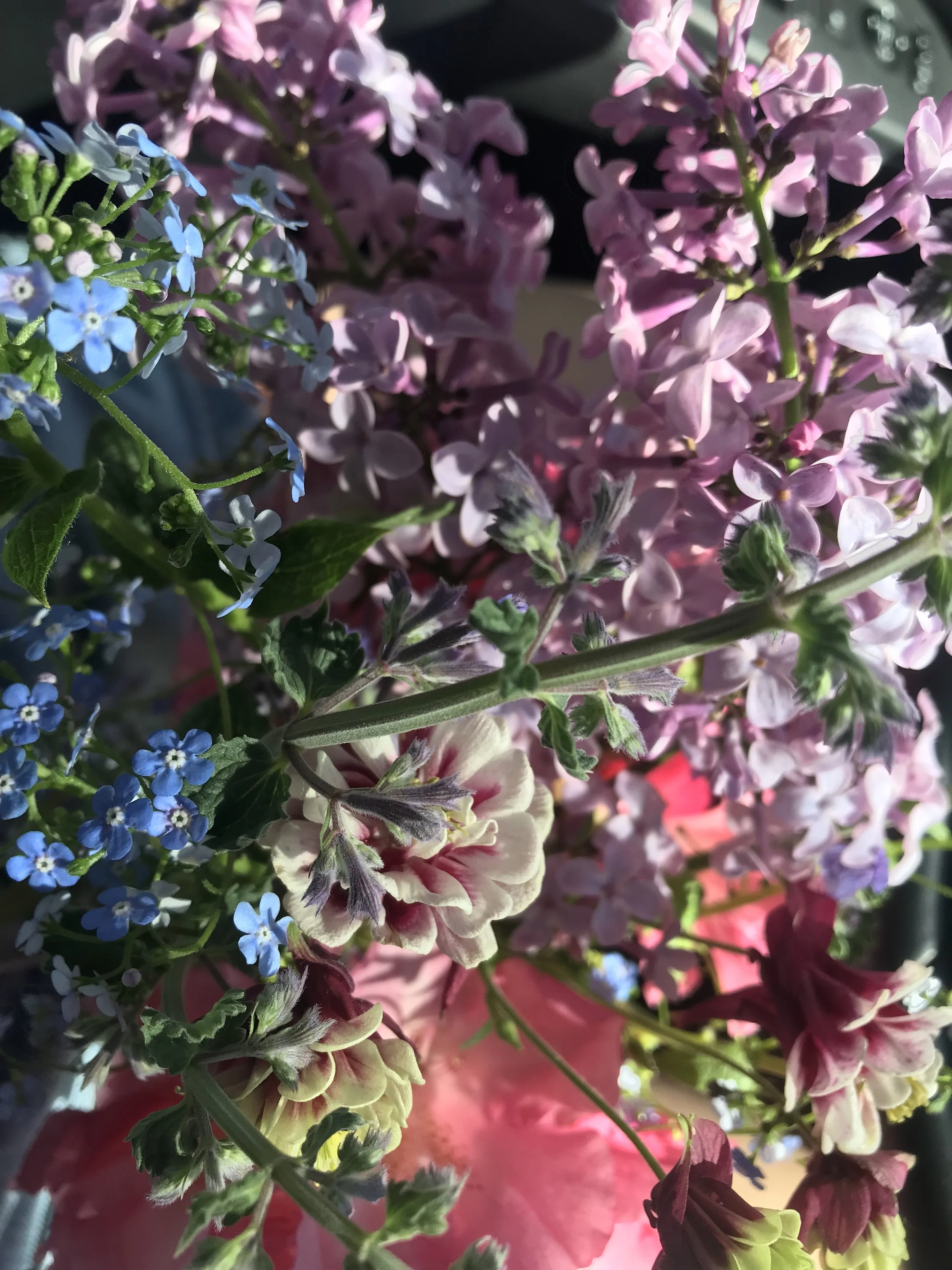 May 16: The Mother Secret