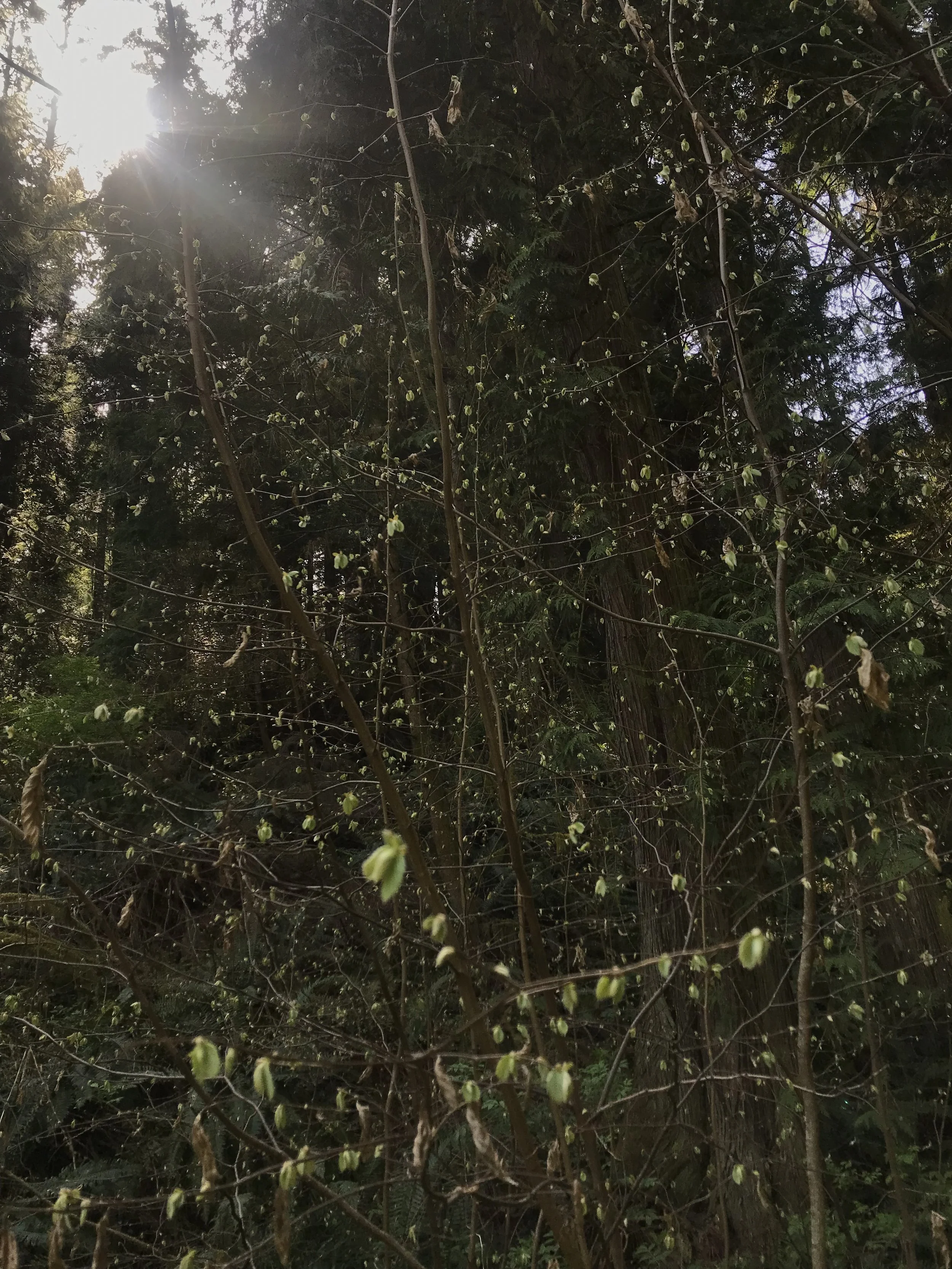 May 23: Sutras 1.2 &amp; 1.12