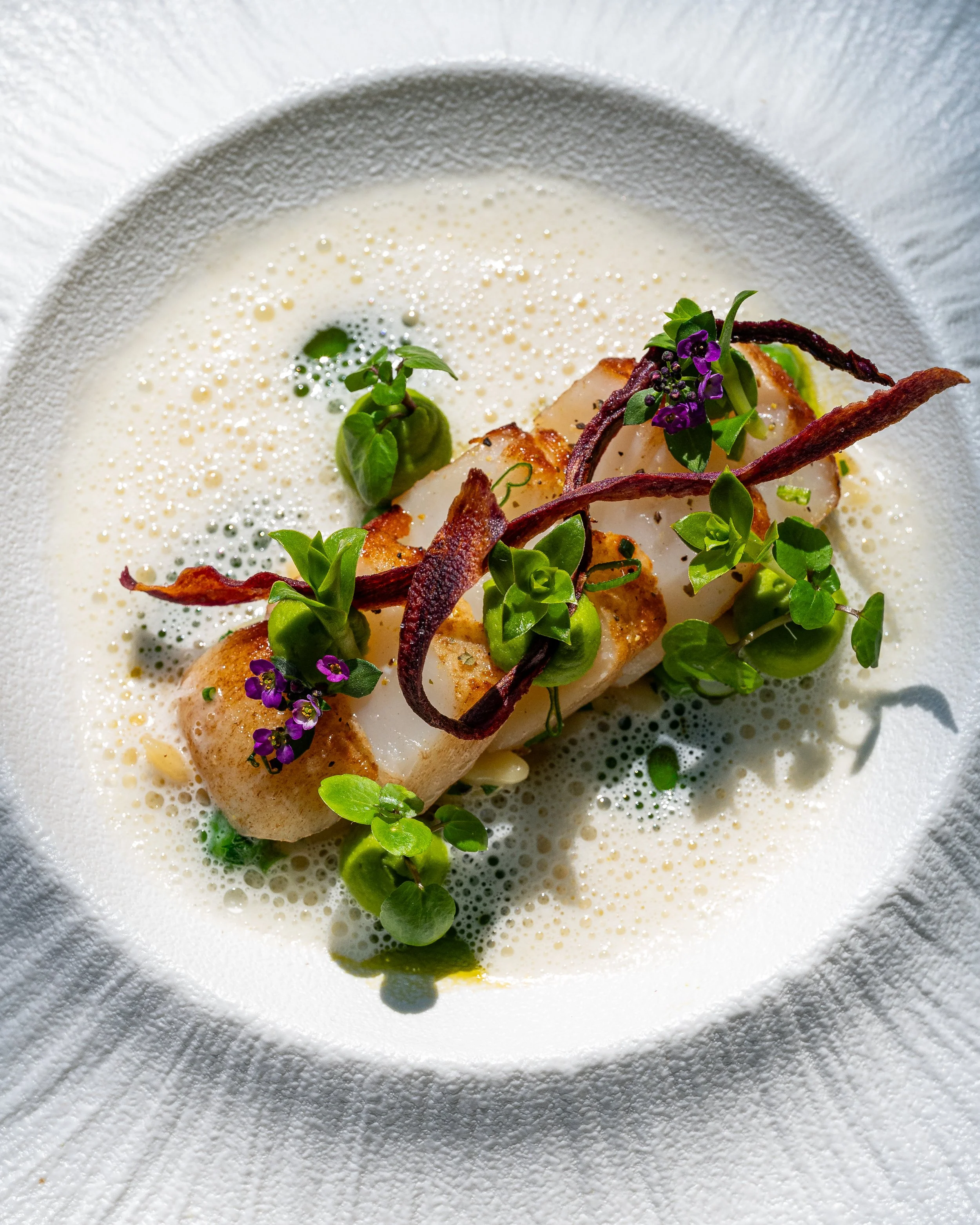 A plated Oxalis dish with herbs and coastal ingredients