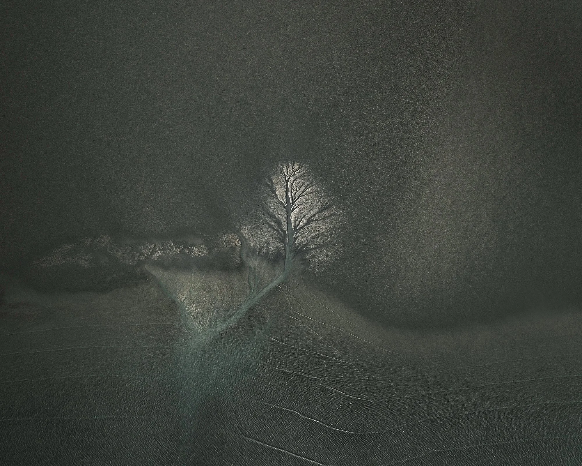 Roots I