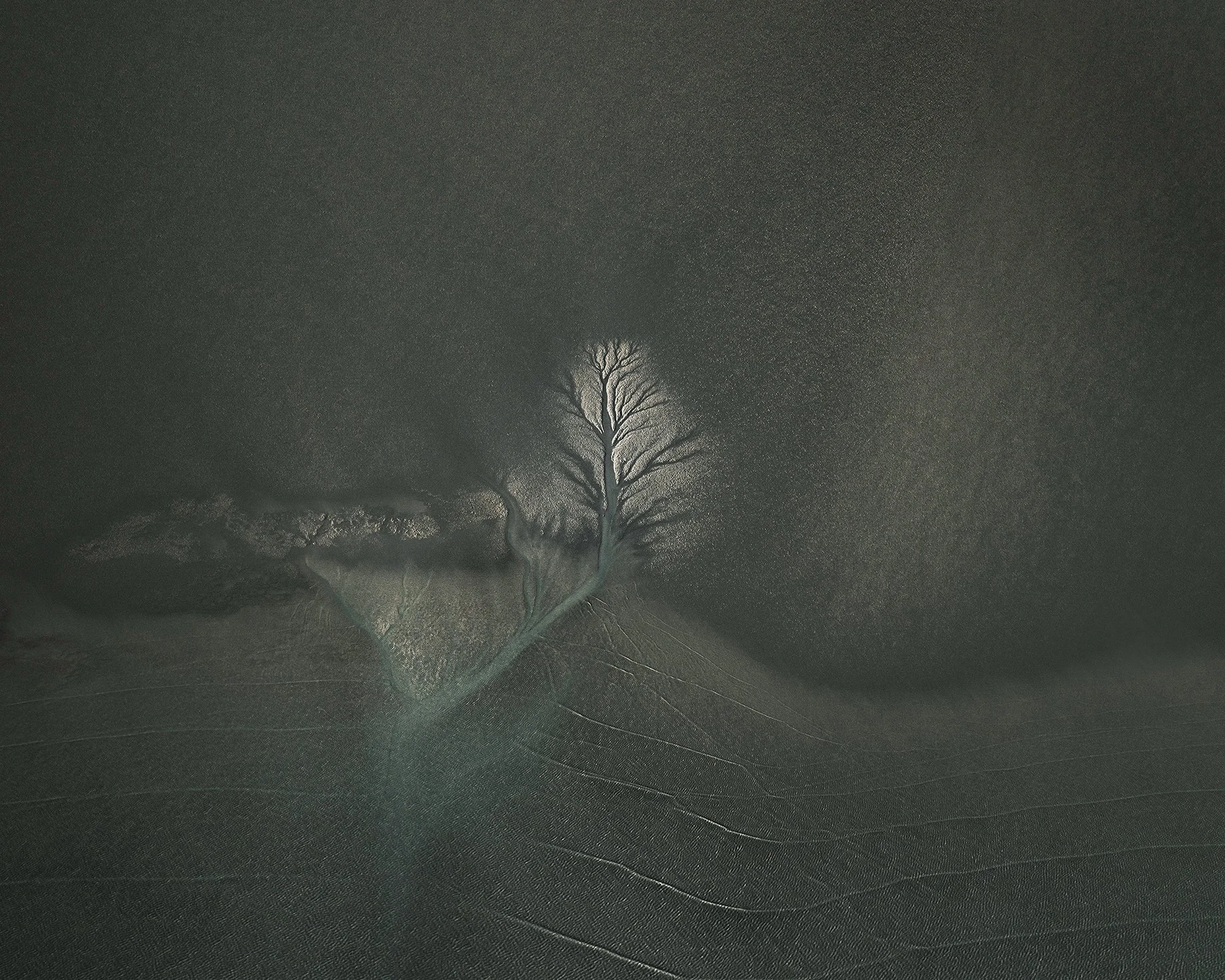 ROOTS