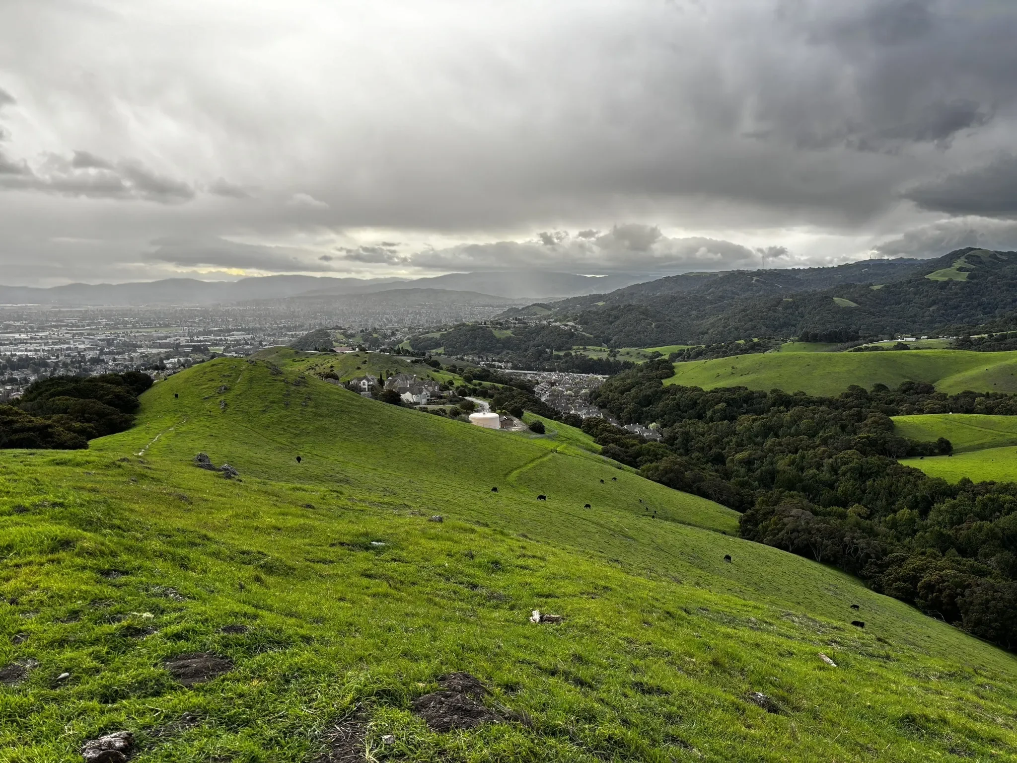 What the First Quarter of 2026 Revealed About the East Dublin Housing Market