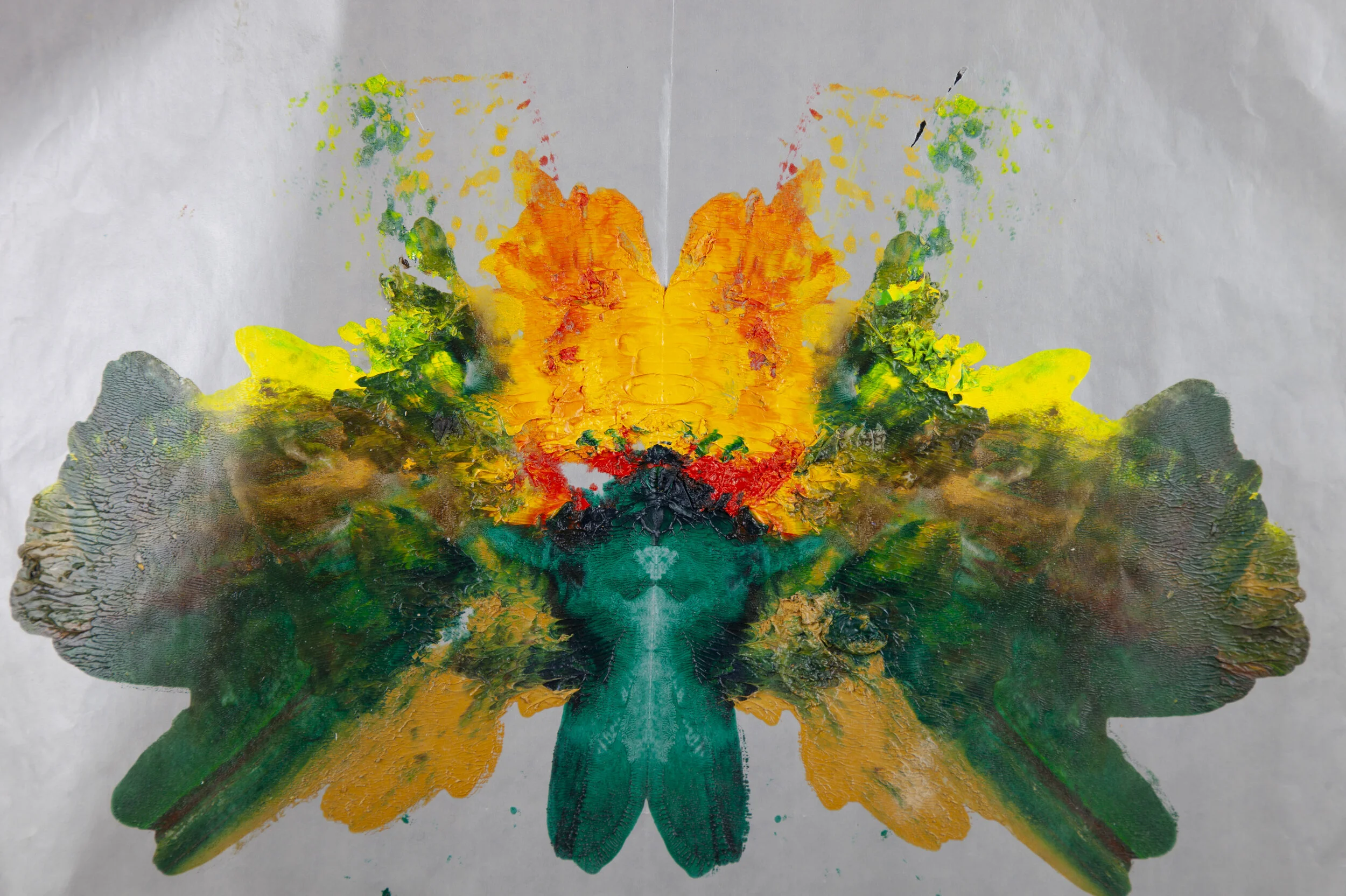 'Bird of Prey'  -  16 x 12  -  $415.00  (um/uf)