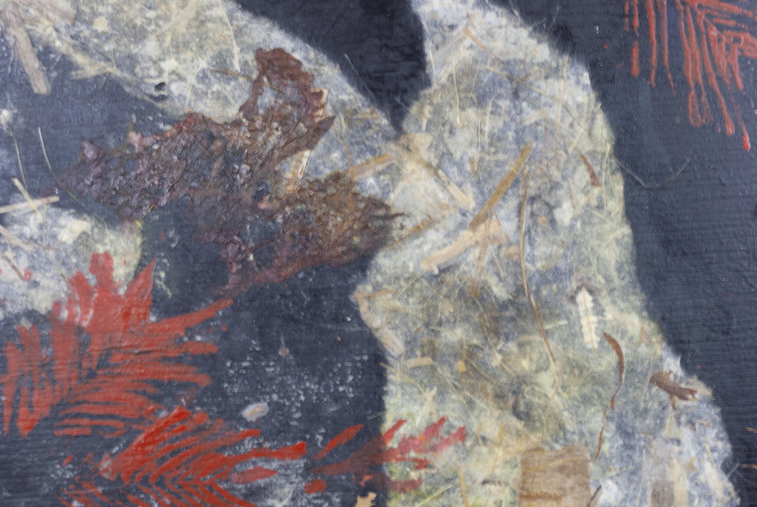 'Fantasia'  -  10 x 8  -  $350.00  (um/uf)