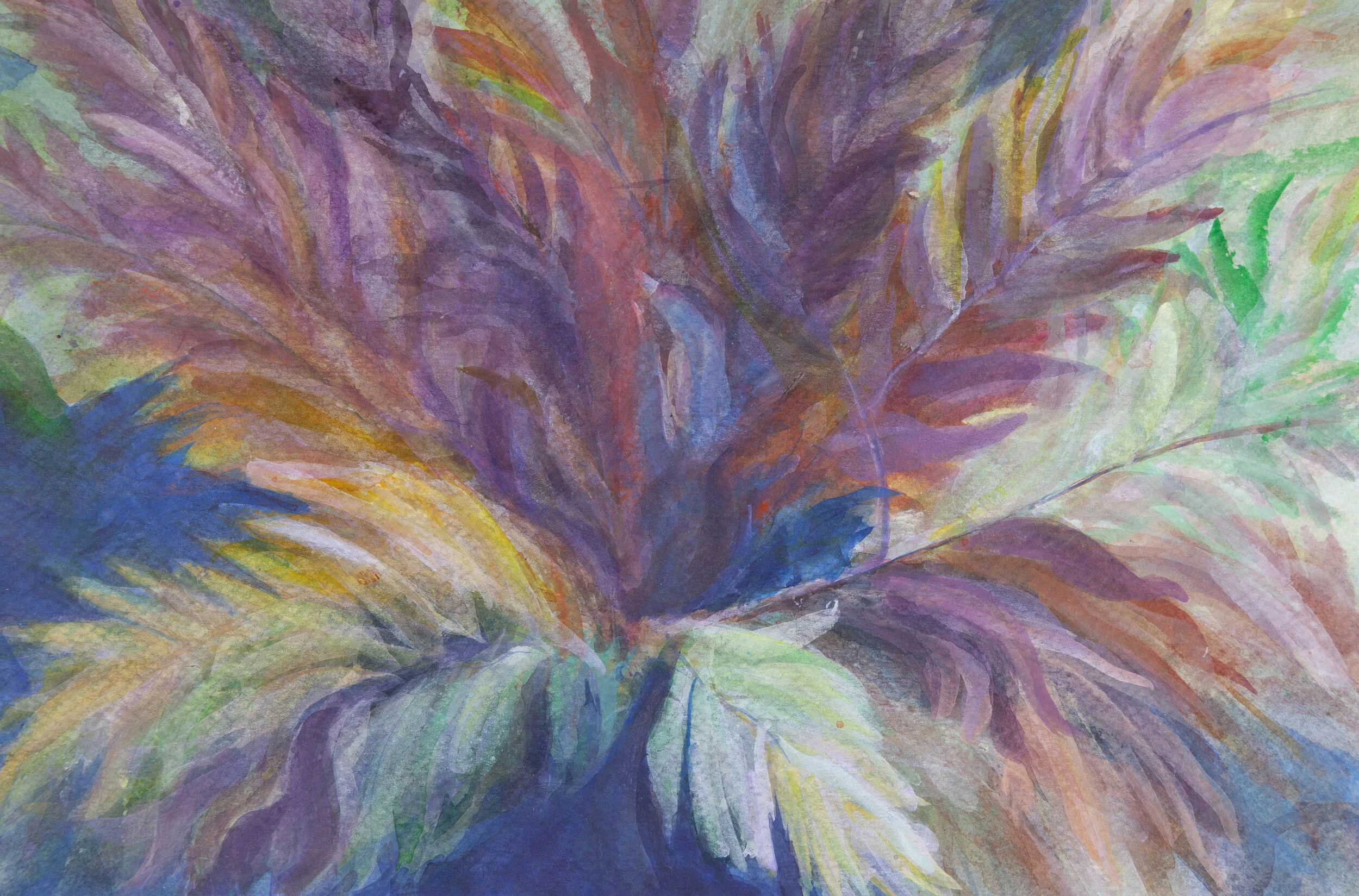 'Plume'  -  15 x 11  -  $405.00  (um/uf)