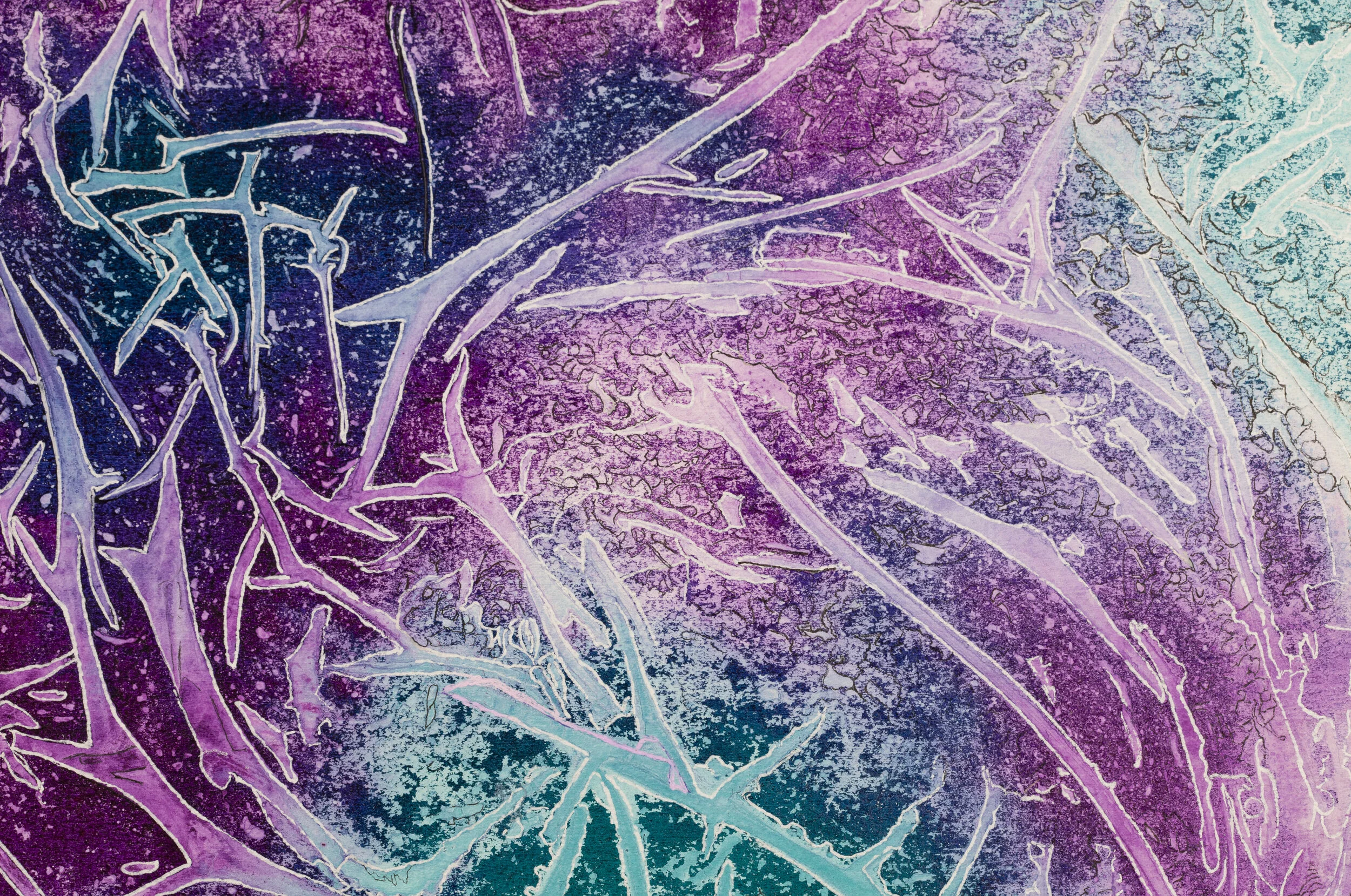 'Delirious Tremens'  -  15 x 11  -  $405.00  (um/uf)