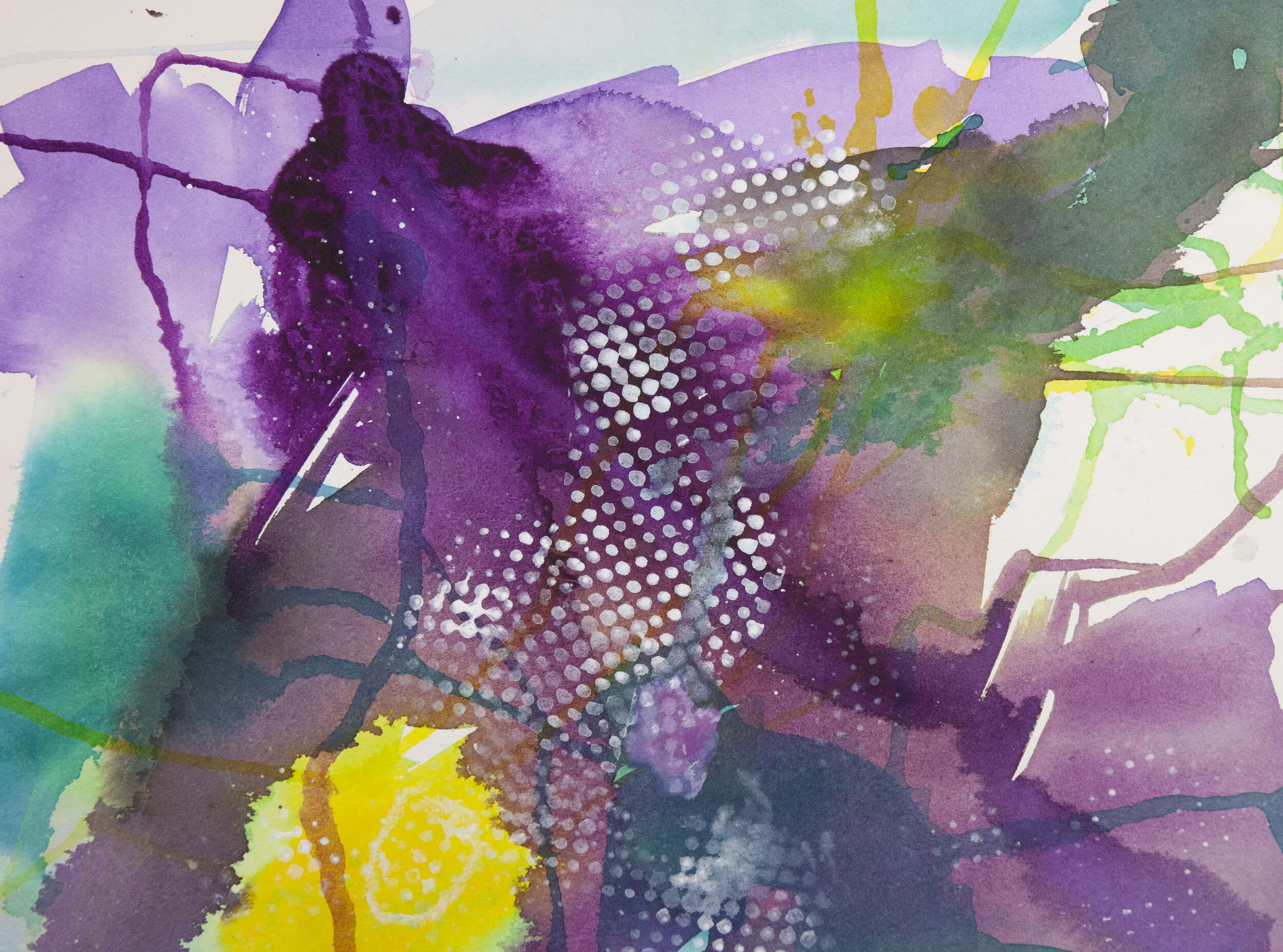 'Gracious Hue'  -  15 x 11  -  $405.00  (um/uf)