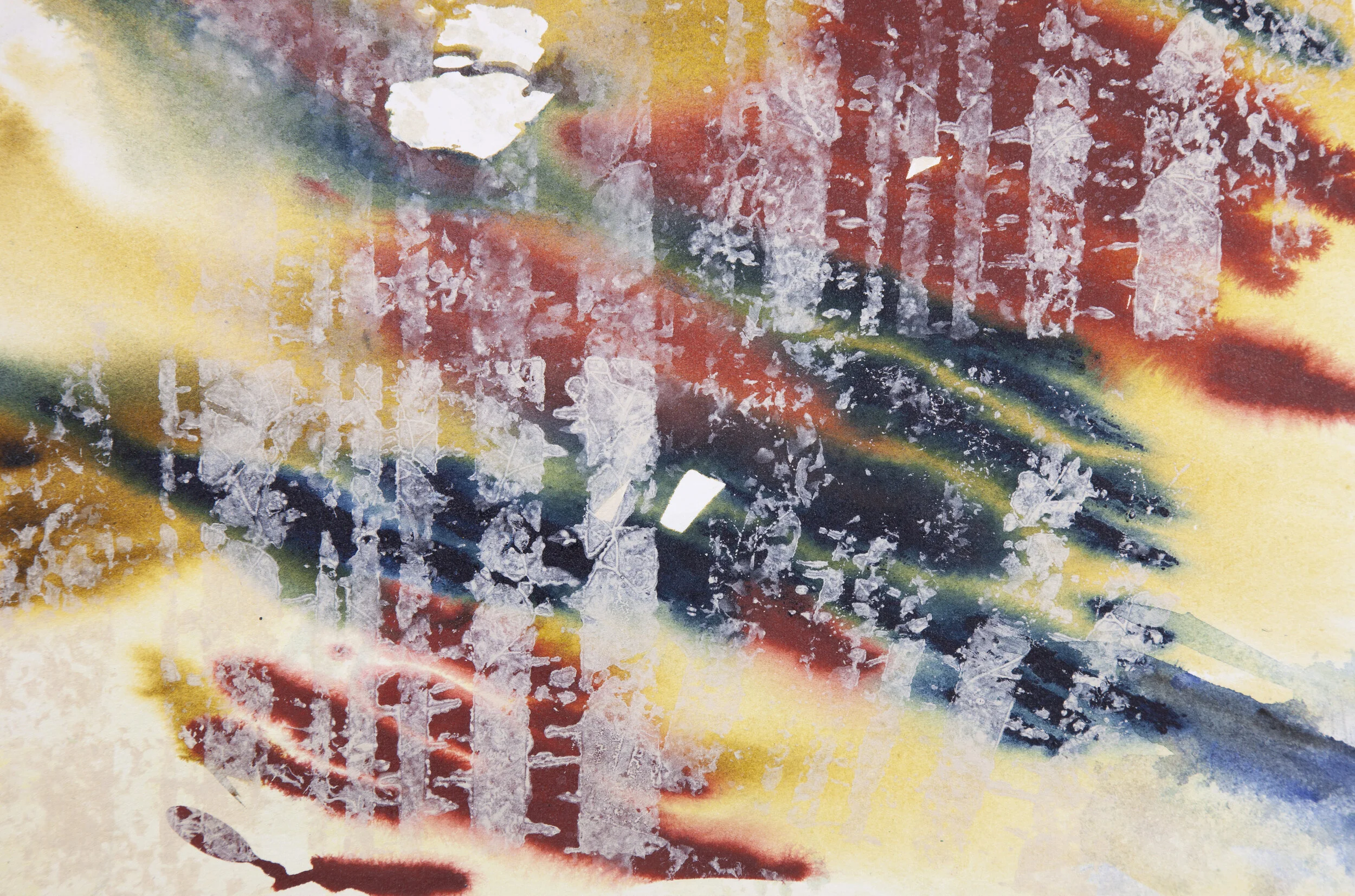 'Morning Break'  -  15 x 11  -  $405.00  (um/uf)