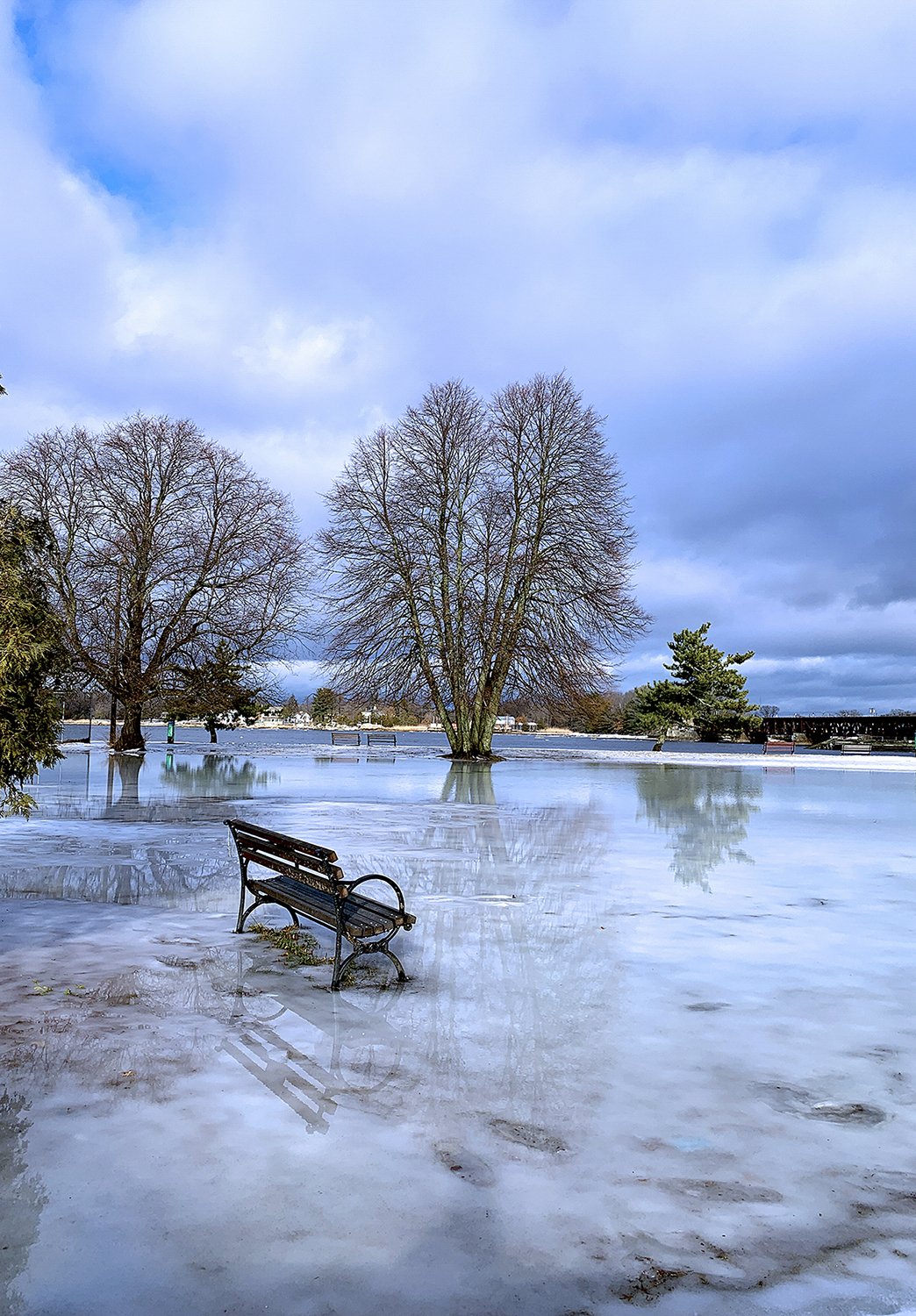 Karen Fitzgerald-Ice Reflections.jpeg