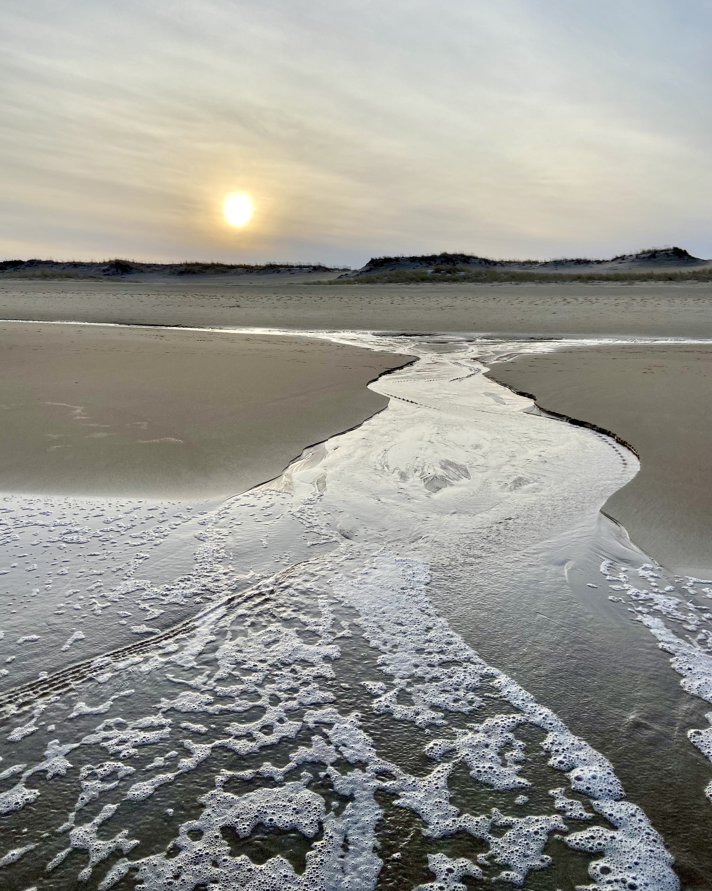 Karen Futral - Mermaid Tail at Sunset, Plum Island.jpeg