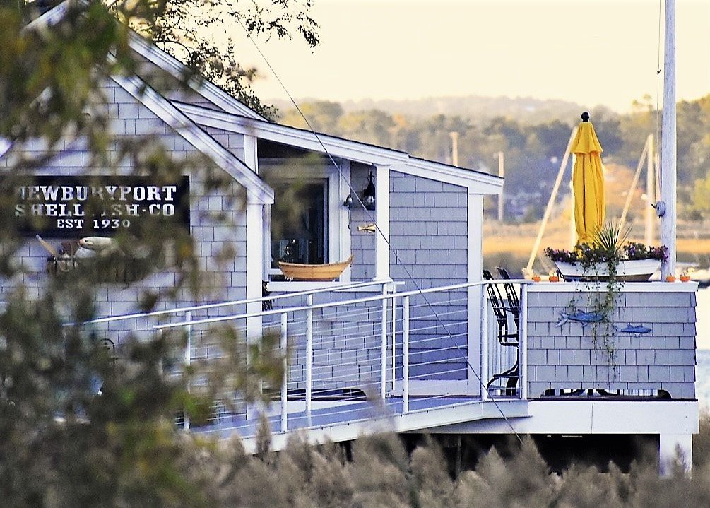 KellyPage-ModernShellfishShack.jpeg