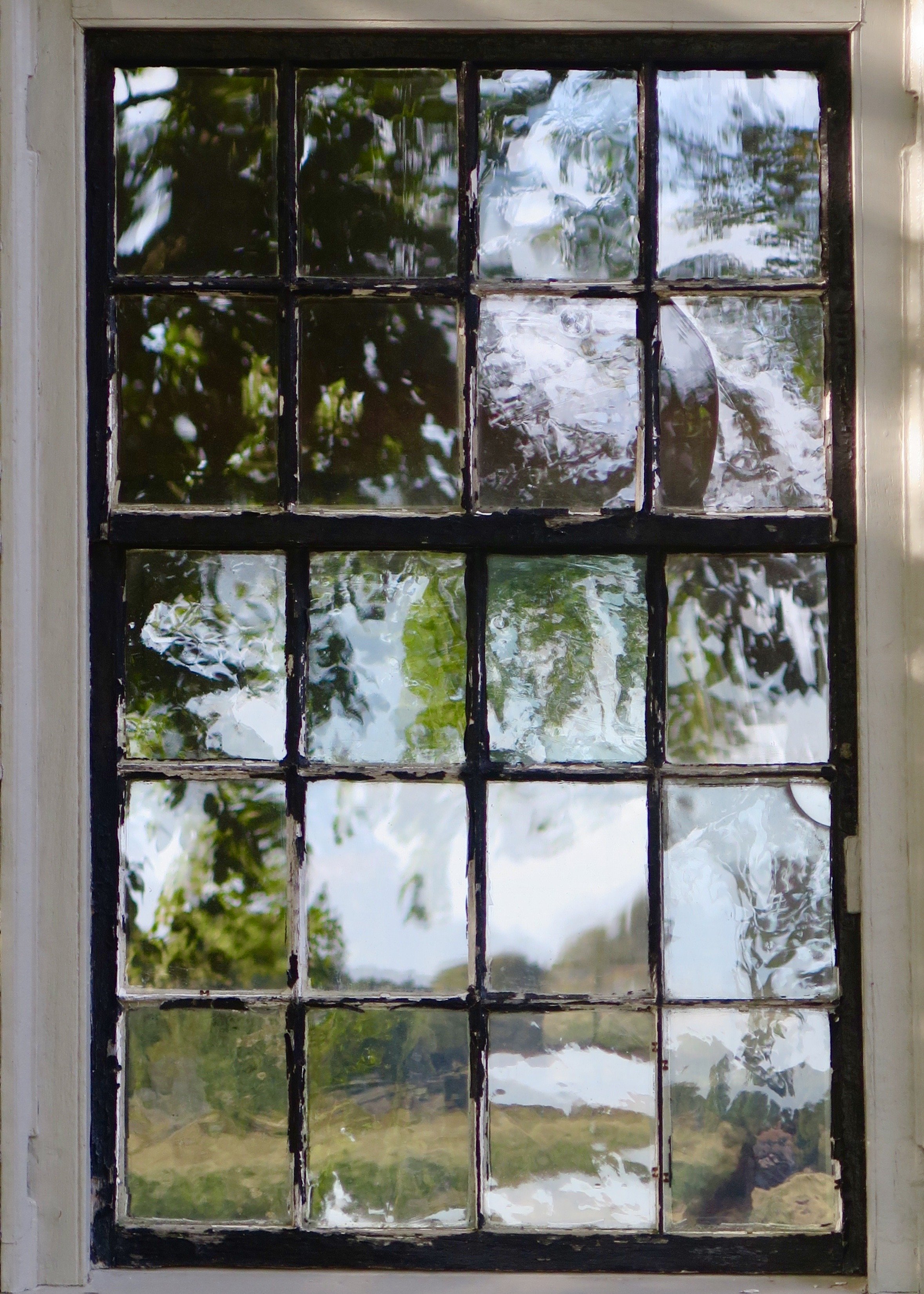 SusanDuane-ReflectedLandscape.jpeg
