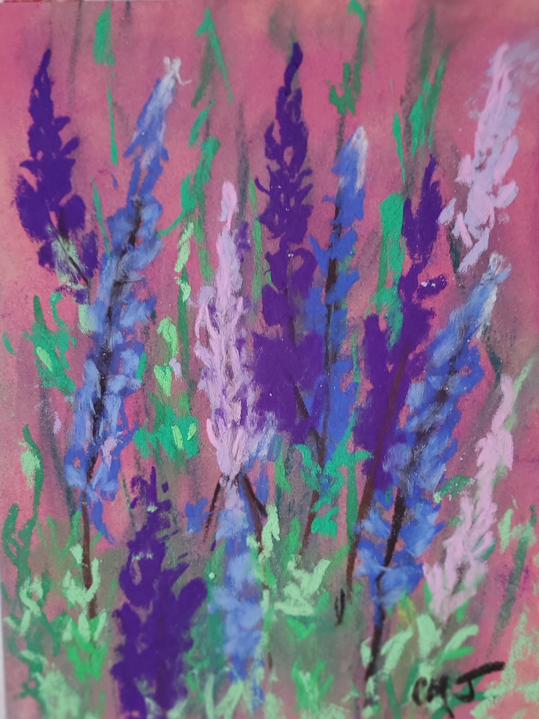 Christine Molitor Johnson _Lupines 5 x 7 pastel.jpg