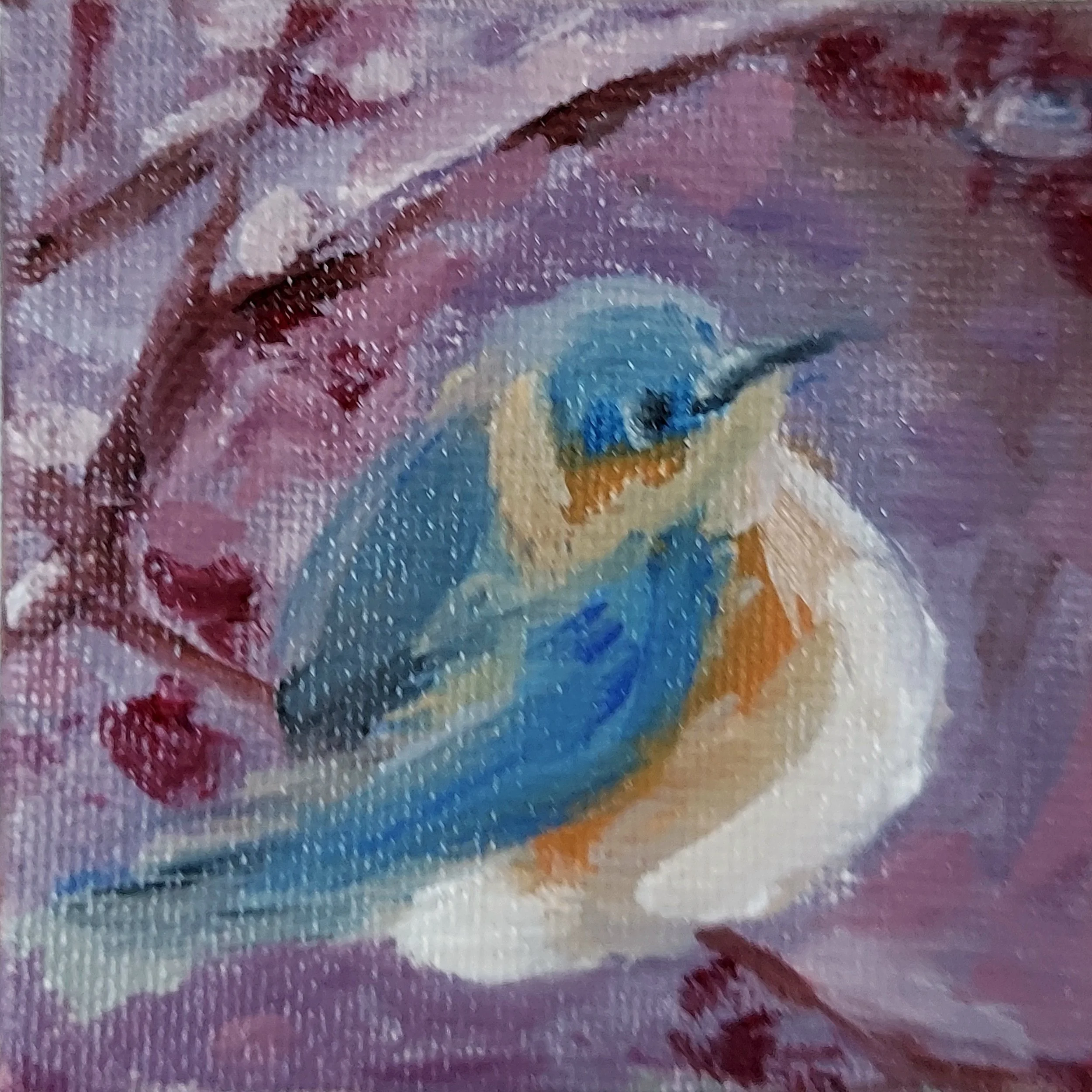 Kathleen Manley - Female Bluebird (pink).jpg