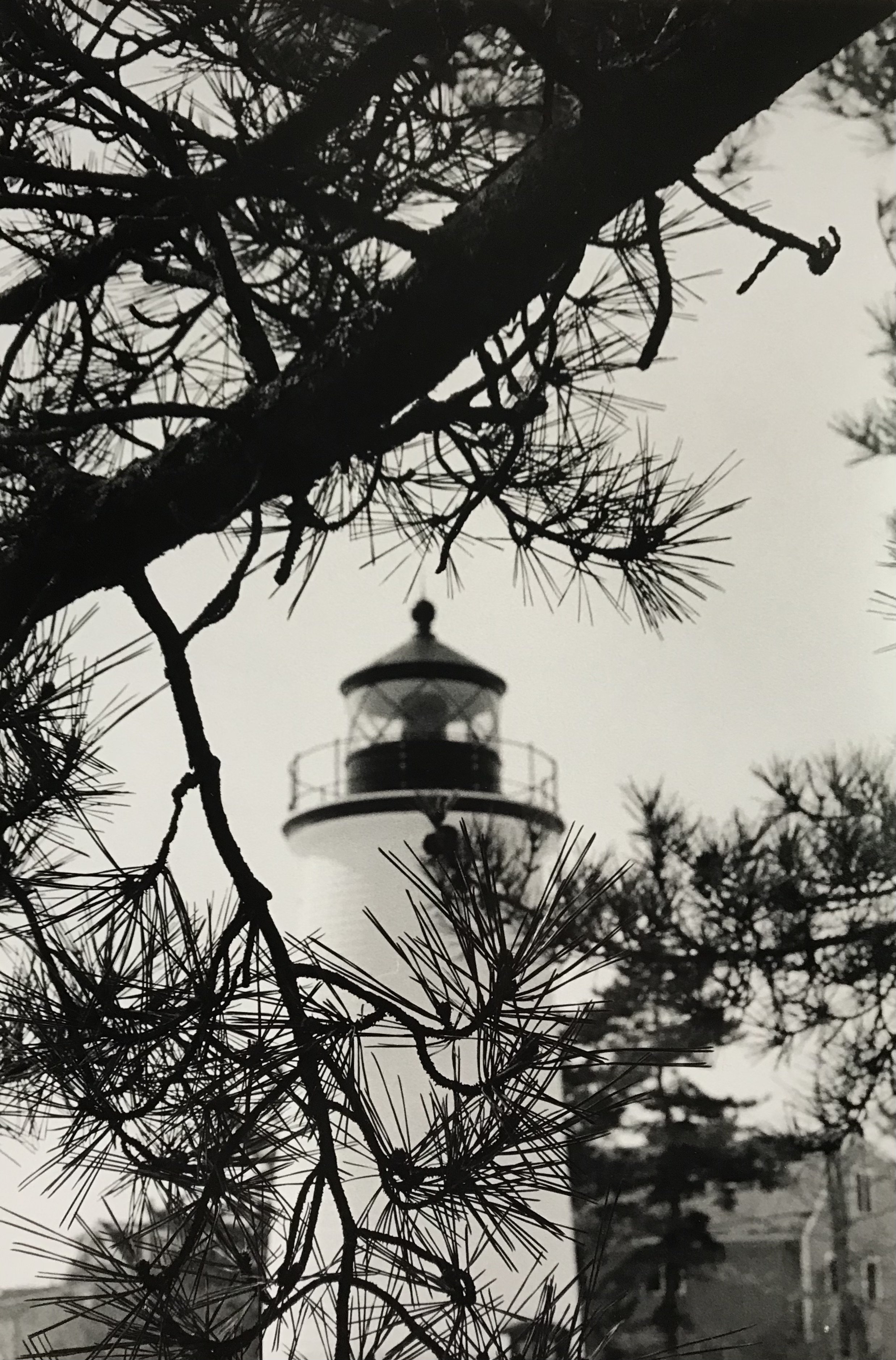 Tiago Serpa - Plum Island Light.jpg