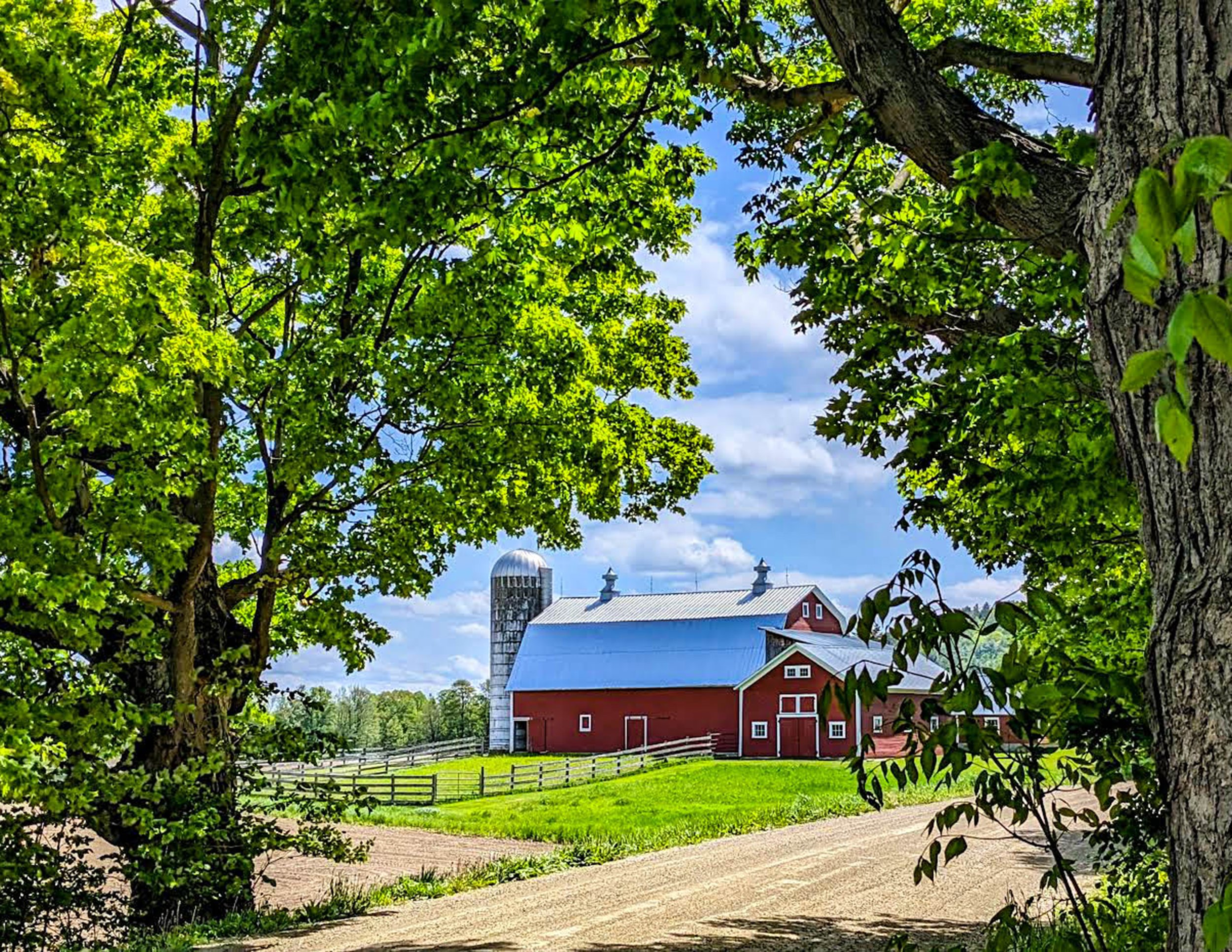 Donna Bambury - Red Barn in Vermont.jpg