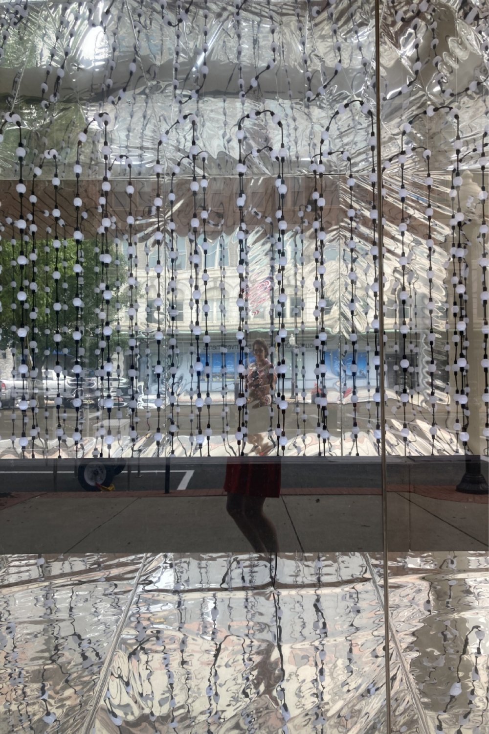 Heidi Caswell Zander - Through The Looking Glass.jpg