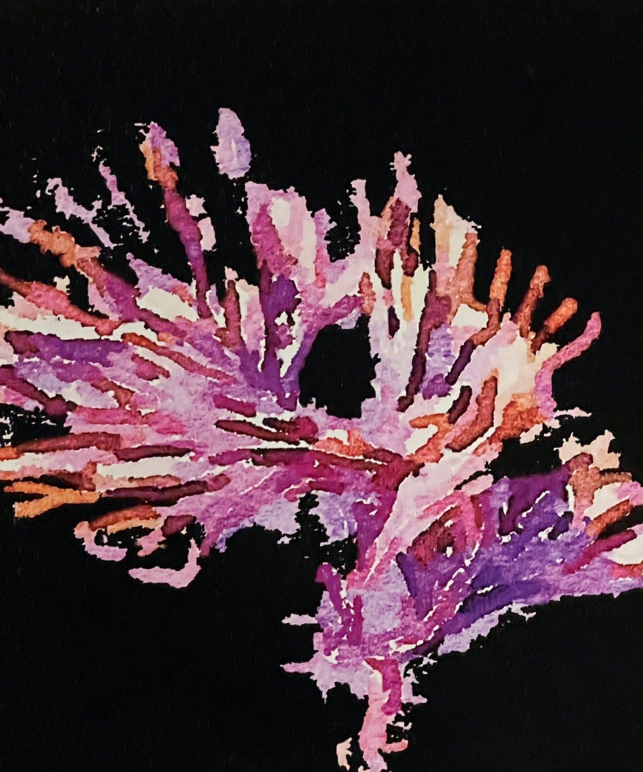 Steve Levin - Pink Coral.jpg