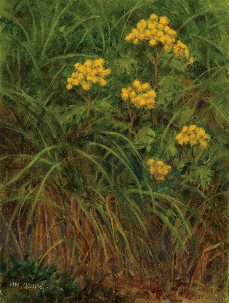 Margery Jennings - Dune Grass and Tansy.jpg