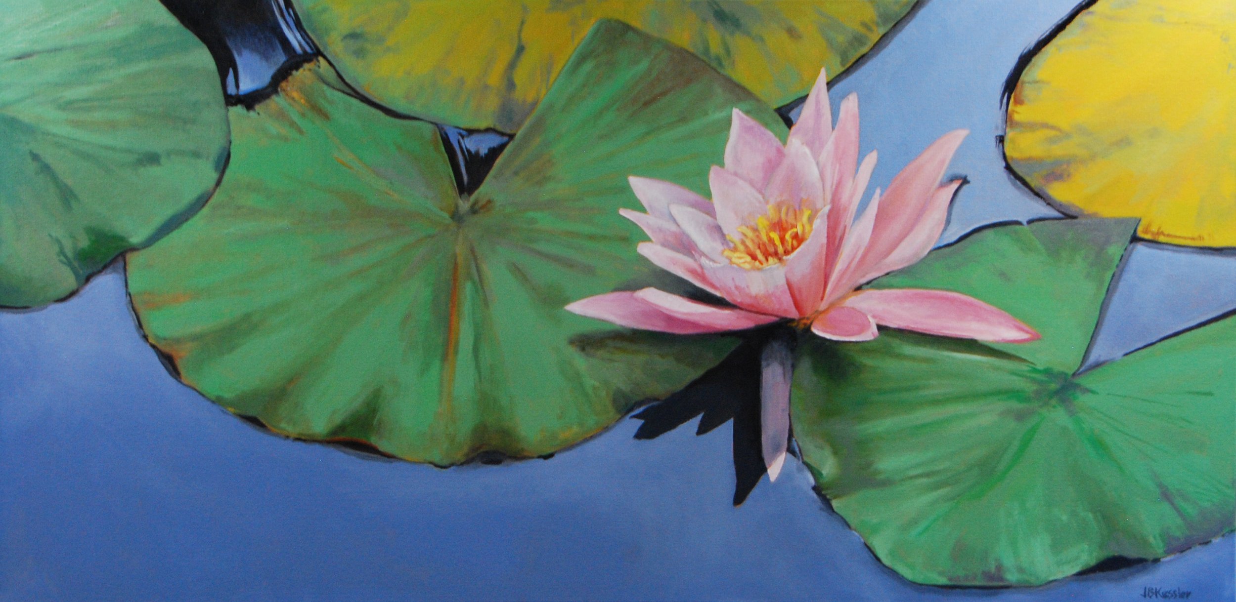 John Kessler - Pink Water Lily.jpg