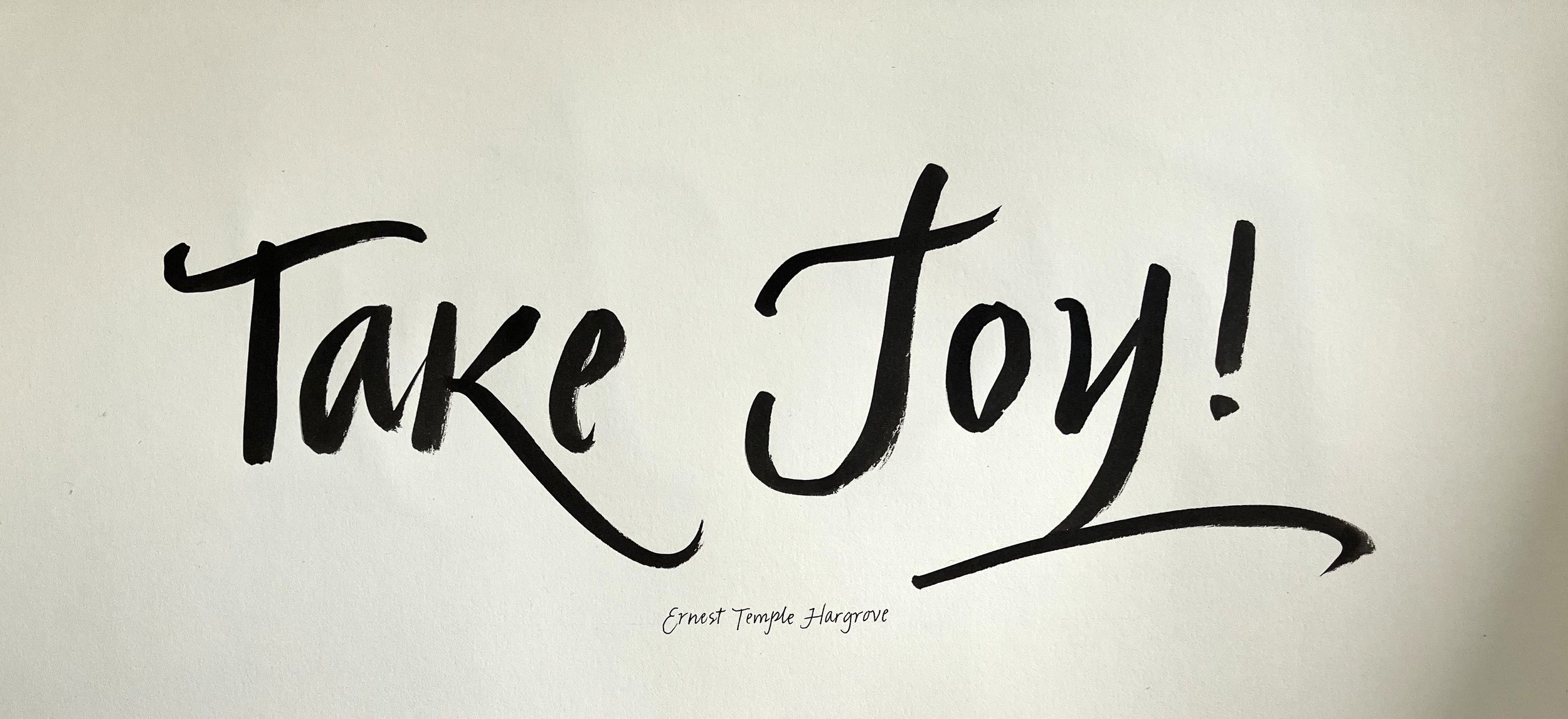 Susan Kapuscinski Gaylord - Take Joy! (from Art Lessons).jpg